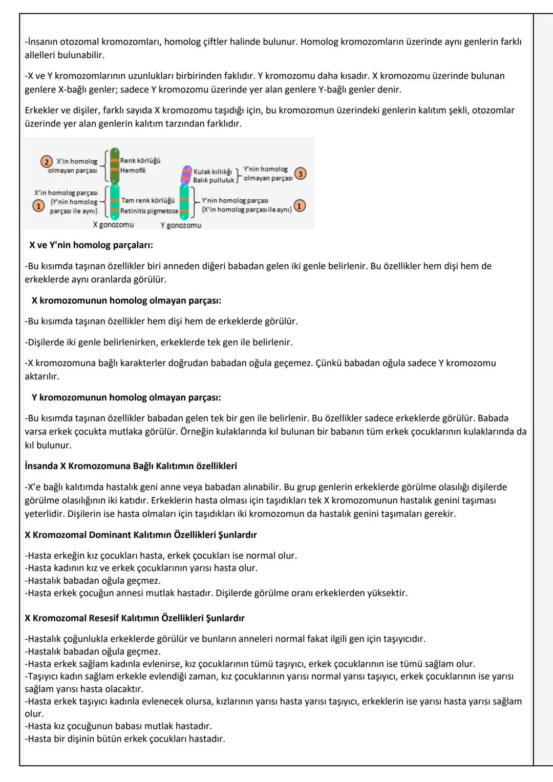 KALITIMIN GENEL İLKELERİ
-Mendel'in başarılı sonuçlar alması çalışmalarında tesadüfen bezelyeleri seçmiş olmasıyla ilgilidir. Çünkü bezelyel
