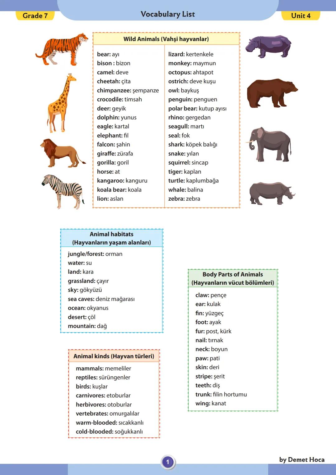 Grade 7
Vocabulary List
Unit 4
Wild Animals (Vahşi hayvanlar)
bear: ayı
lizard: kertenkele
bison: bizon
monkey: maymun
camel: deve
octop