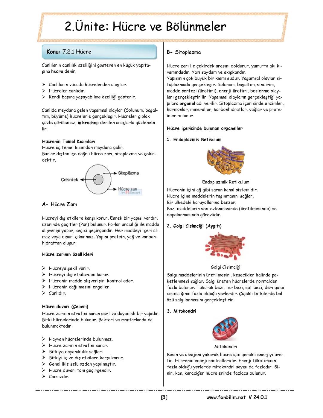 Hücre ve Bölünmeler