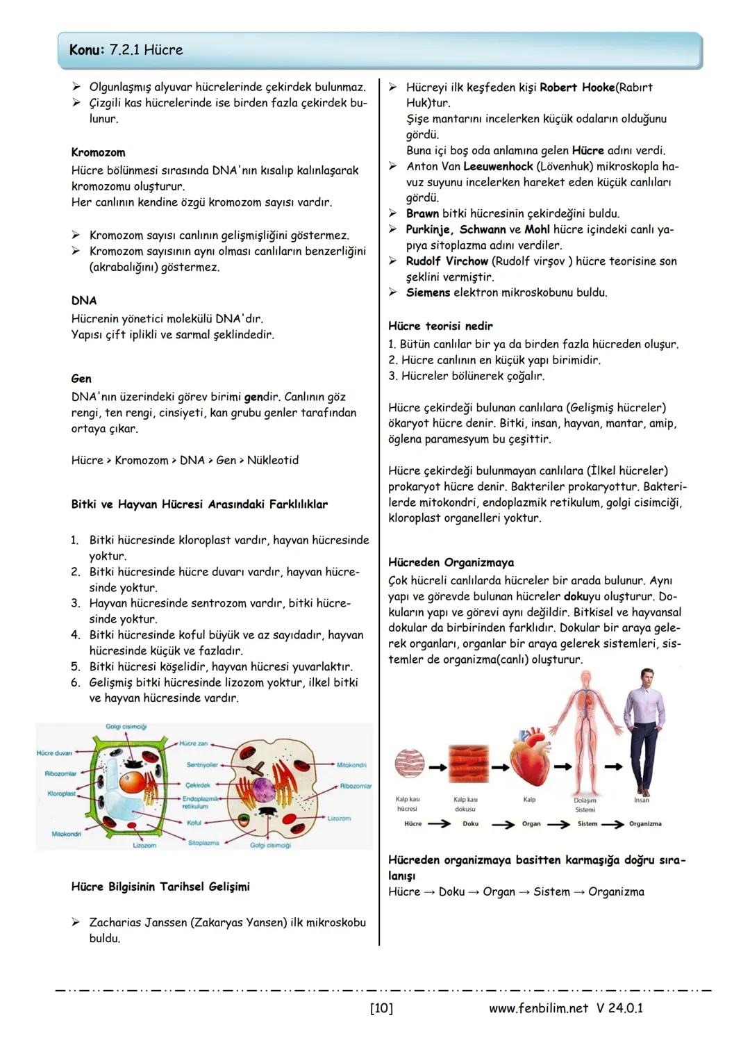 2.Ünite: Hücre ve Bölünmeler
Konu: 7.2.1 Hücre
Canlıların canlılık özelliğini gösteren en küçük yapita-
şına hücre denir.
➤Canlıların vücudu