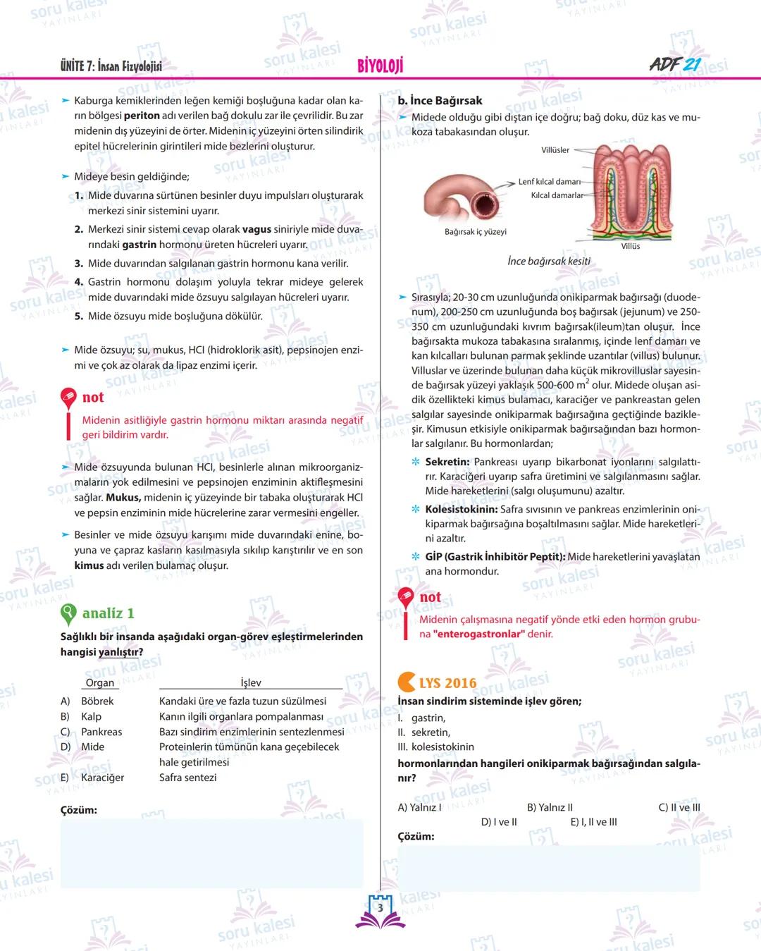 soru ka
YAYINLARI
BİYOLOJİ
kalesi
YINLARI
soru kalesi
YAYI
soru kalesi
YAYINLARI
oru kalesi
ÜNİTE 7: İNSAN FİZYOLOJİSİ
SİNDİRİM SİSTEMİ VE R