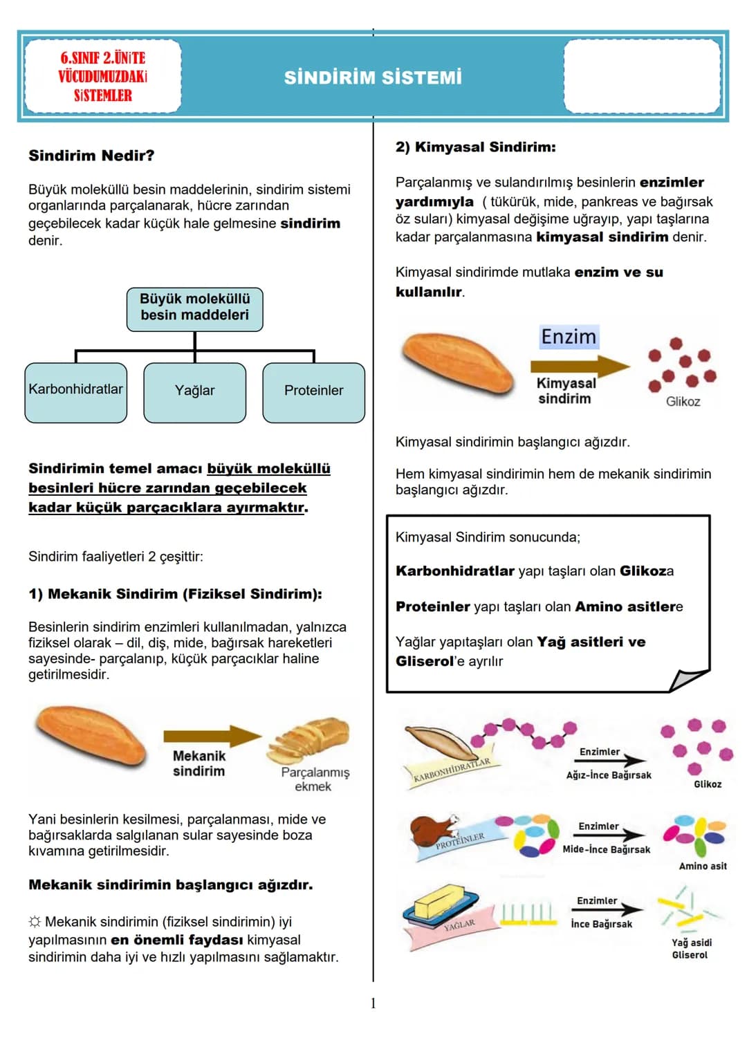 6.SINIF 1.ÜNİTE
GÜNEŞ SİSTEMİ VE
TUTULMALAR
GÜNEŞ SİSTEMİ
1.BÖLÜM: GÜNEŞ SİSTEMİ
Güneş'in çevresinde dolanan birçok gök cismi vardır. Bu
g