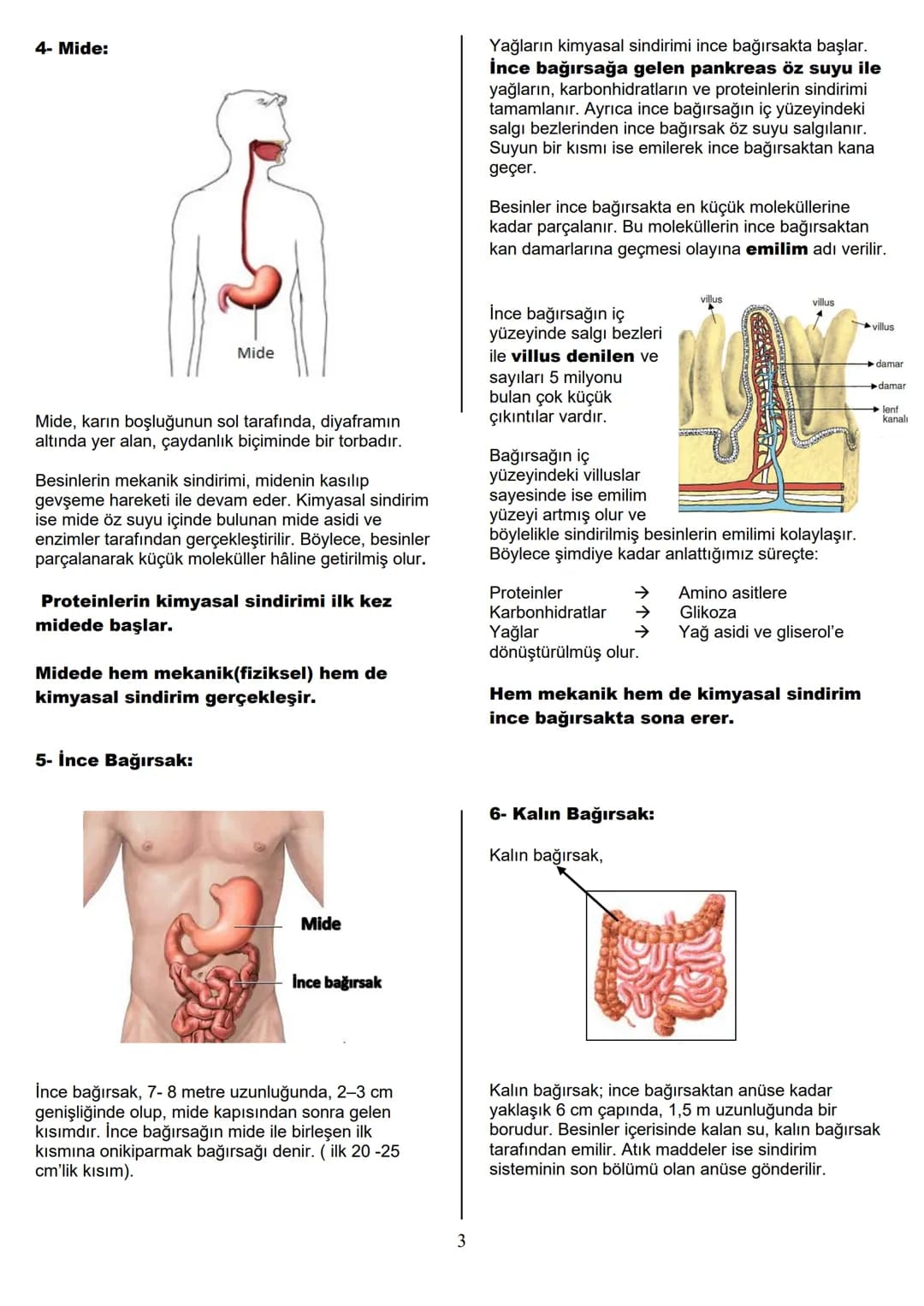6.SINIF 1.ÜNİTE
GÜNEŞ SİSTEMİ VE
TUTULMALAR
GÜNEŞ SİSTEMİ
1.BÖLÜM: GÜNEŞ SİSTEMİ
Güneş'in çevresinde dolanan birçok gök cismi vardır. Bu
g
