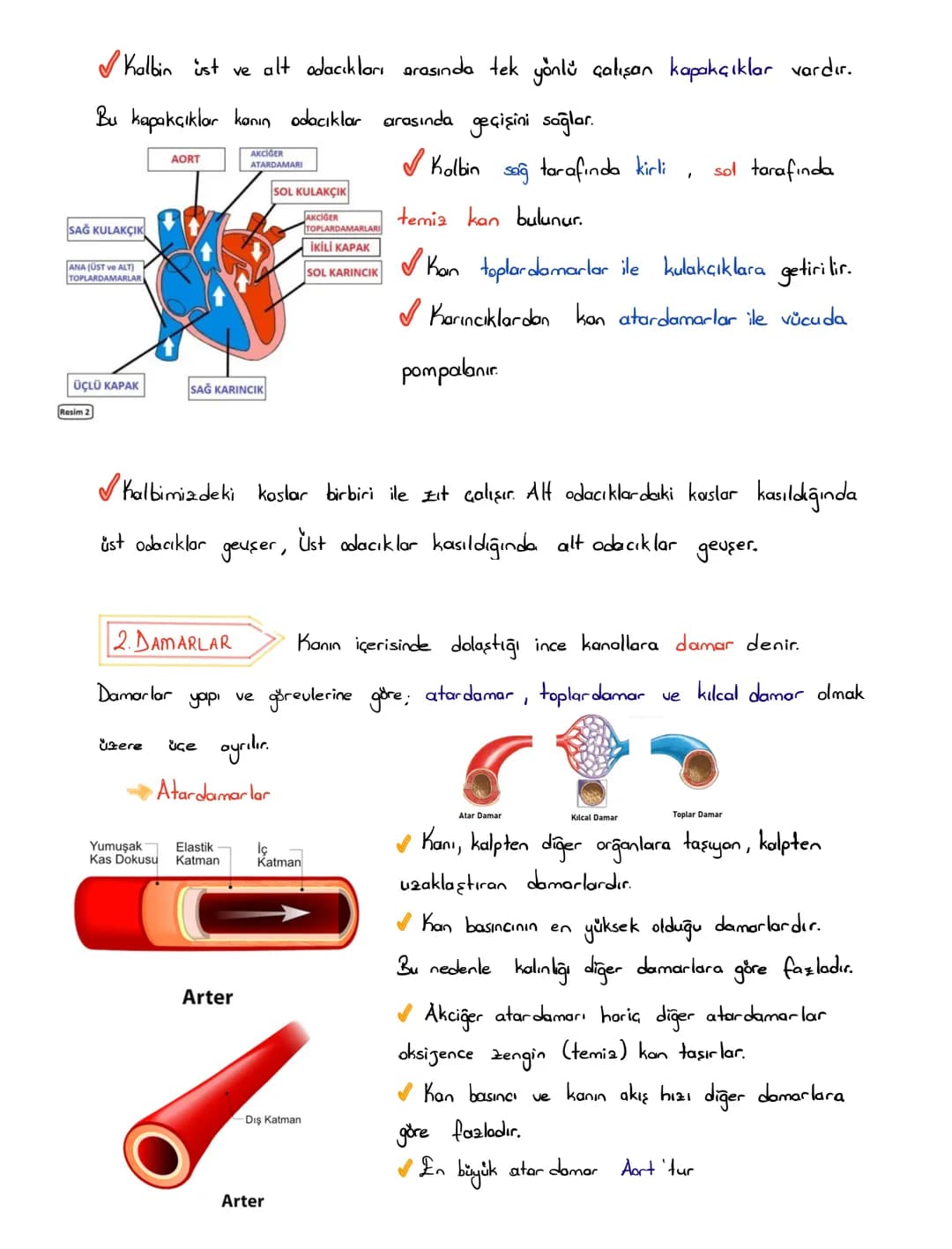 6.SINIF 1.ÜNİTE
GÜNEŞ SİSTEMİ VE
TUTULMALAR
GÜNEŞ SİSTEMİ
1.BÖLÜM: GÜNEŞ SİSTEMİ
Güneş'in çevresinde dolanan birçok gök cismi vardır. Bu
g
