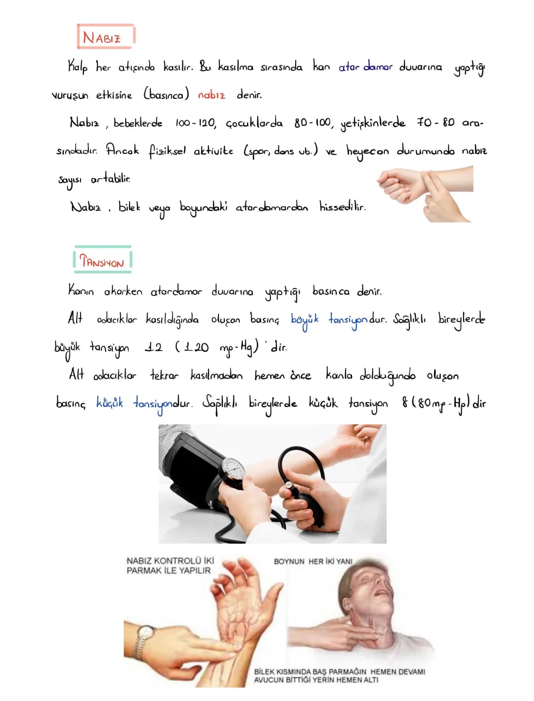 6.SINIF 1.ÜNİTE
GÜNEŞ SİSTEMİ VE
TUTULMALAR
GÜNEŞ SİSTEMİ
1.BÖLÜM: GÜNEŞ SİSTEMİ
Güneş'in çevresinde dolanan birçok gök cismi vardır. Bu
g