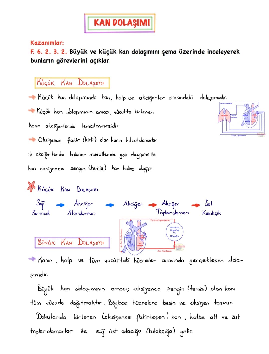 6.SINIF 1.ÜNİTE
GÜNEŞ SİSTEMİ VE
TUTULMALAR
GÜNEŞ SİSTEMİ
1.BÖLÜM: GÜNEŞ SİSTEMİ
Güneş'in çevresinde dolanan birçok gök cismi vardır. Bu
g