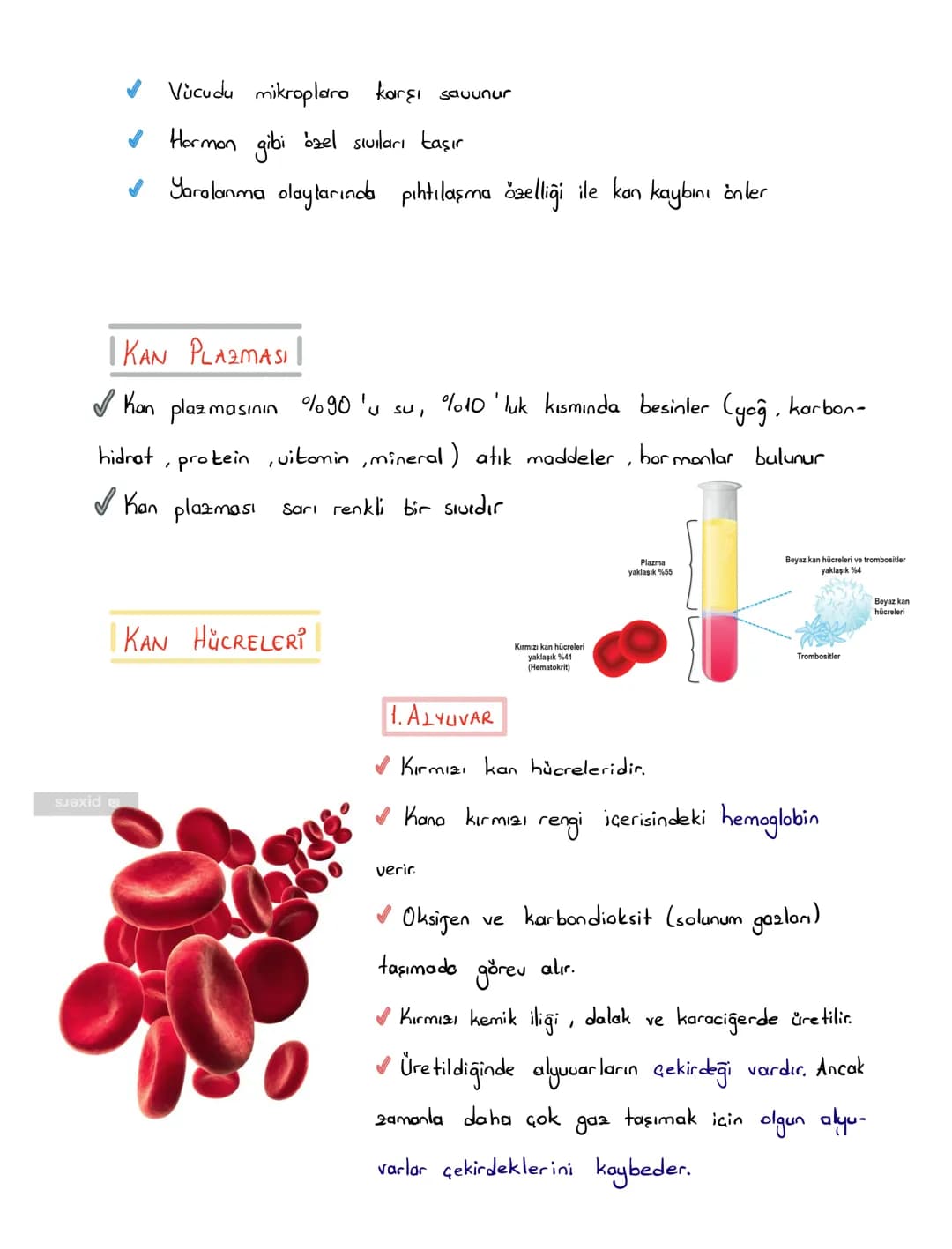 6.SINIF 1.ÜNİTE
GÜNEŞ SİSTEMİ VE
TUTULMALAR
GÜNEŞ SİSTEMİ
1.BÖLÜM: GÜNEŞ SİSTEMİ
Güneş'in çevresinde dolanan birçok gök cismi vardır. Bu
g