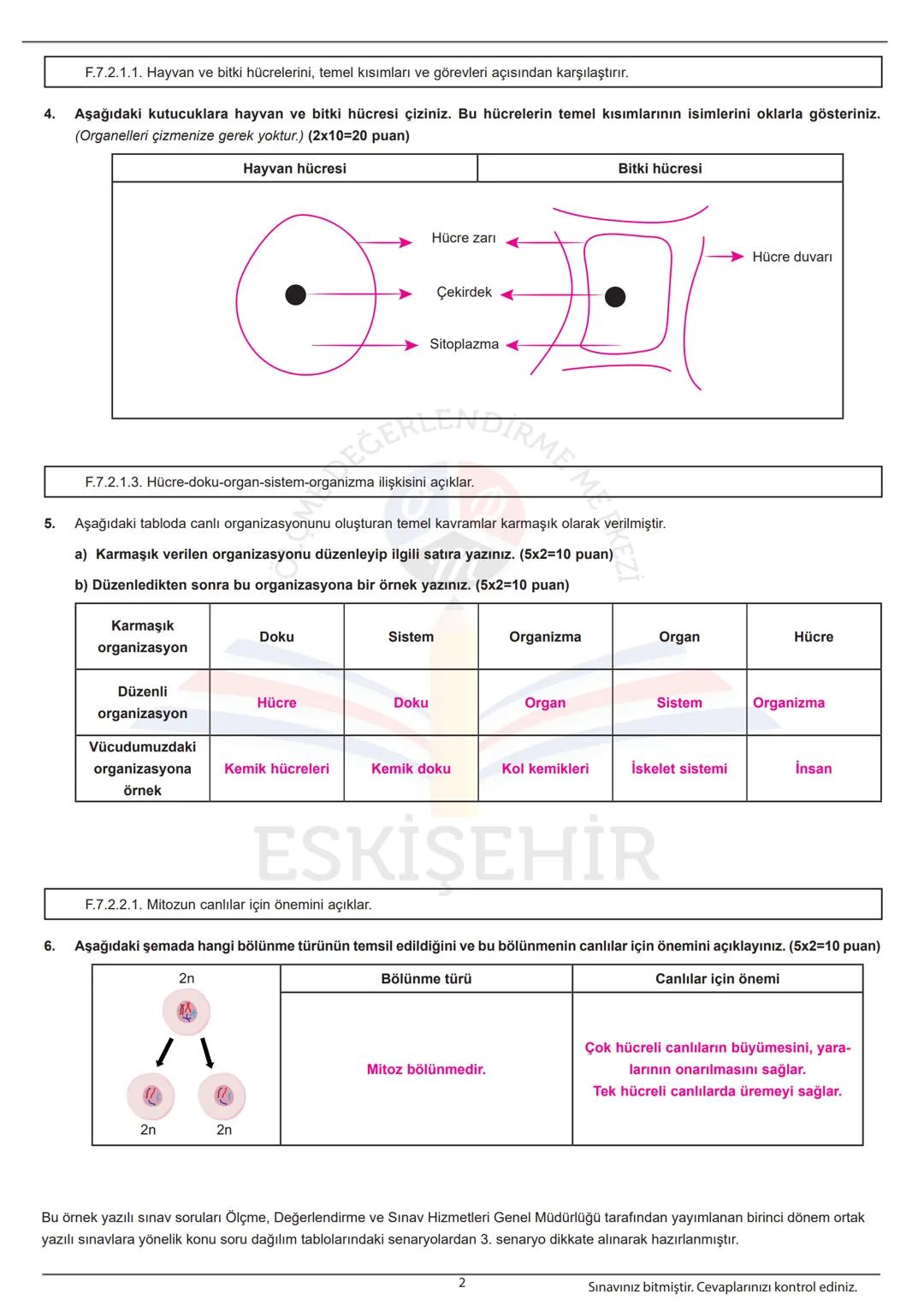 ADI:
SOYADI:
SINIFI: ......... NO:
ÖĞRENCİ
A
ESKİŞEHİR İL MİLLÎ EĞİTİM MÜDÜRLÜĞÜ
ÖLÇME DEĞERLENDİRME MERKEZİ
2024-2025 EĞİTİM-ÖĞRETİM YIL