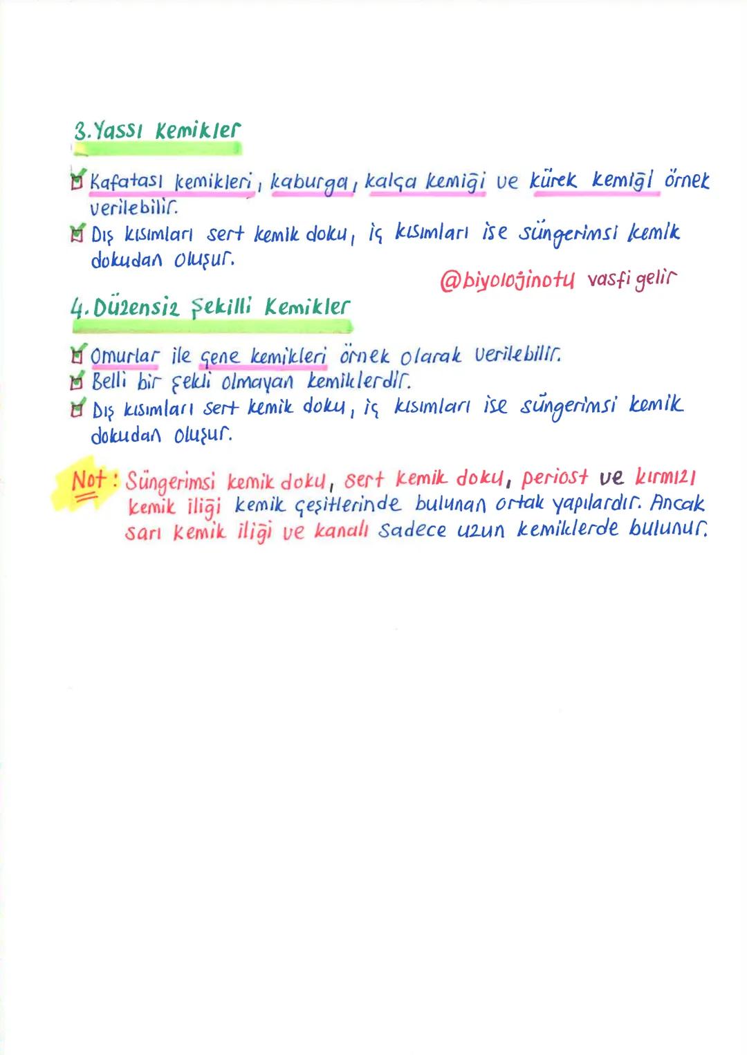 İNSANDA
DESTEK ve HAREKET SİSTEMİ
1.iskelet Sistemi, Kemik Doku ve Kemik Geşitleri
Minsanda destek ve hareket sistemi, iskelet sistemi ile k