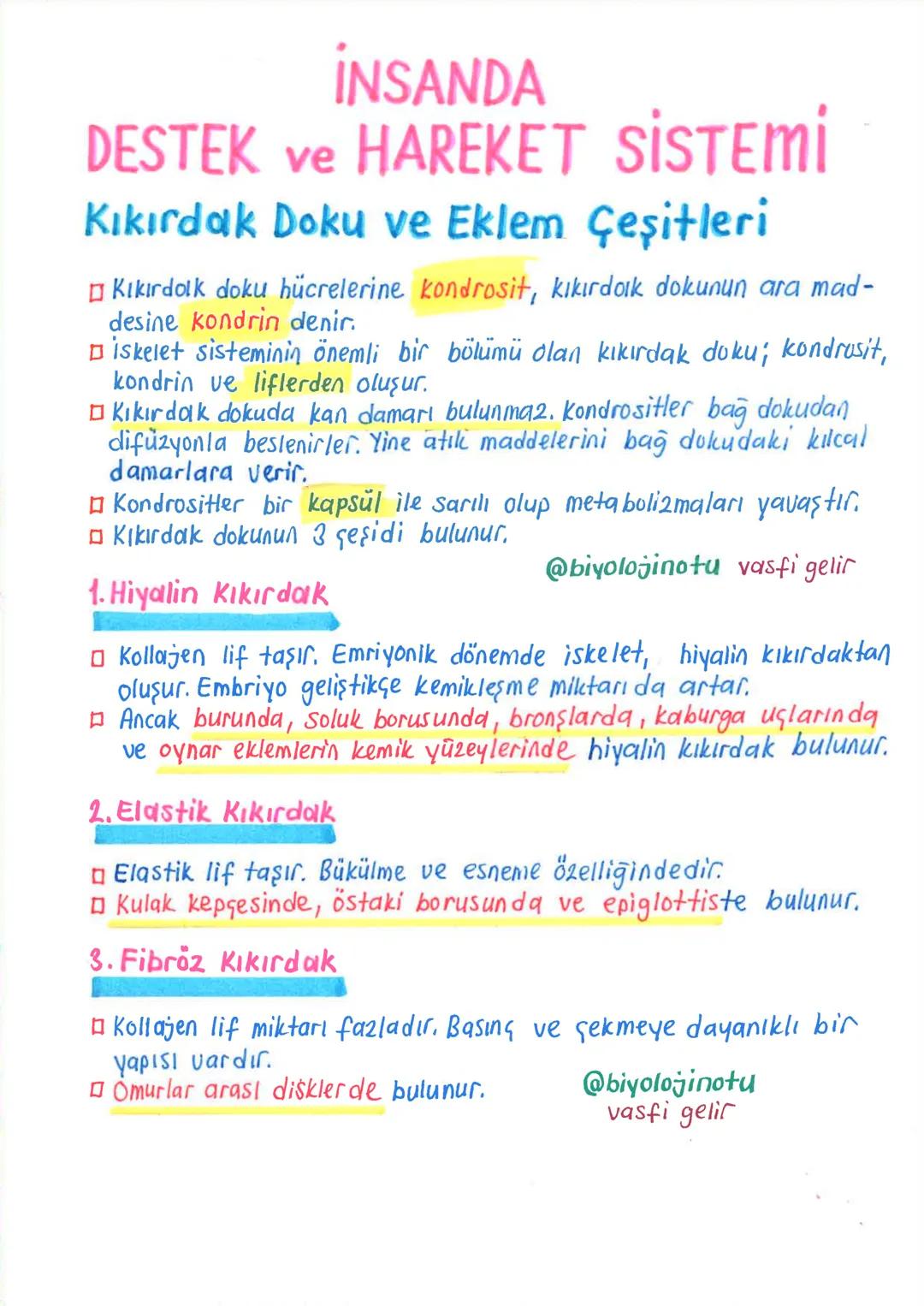 İNSANDA
DESTEK ve HAREKET SİSTEMİ
1.iskelet Sistemi, Kemik Doku ve Kemik Geşitleri
Minsanda destek ve hareket sistemi, iskelet sistemi ile k