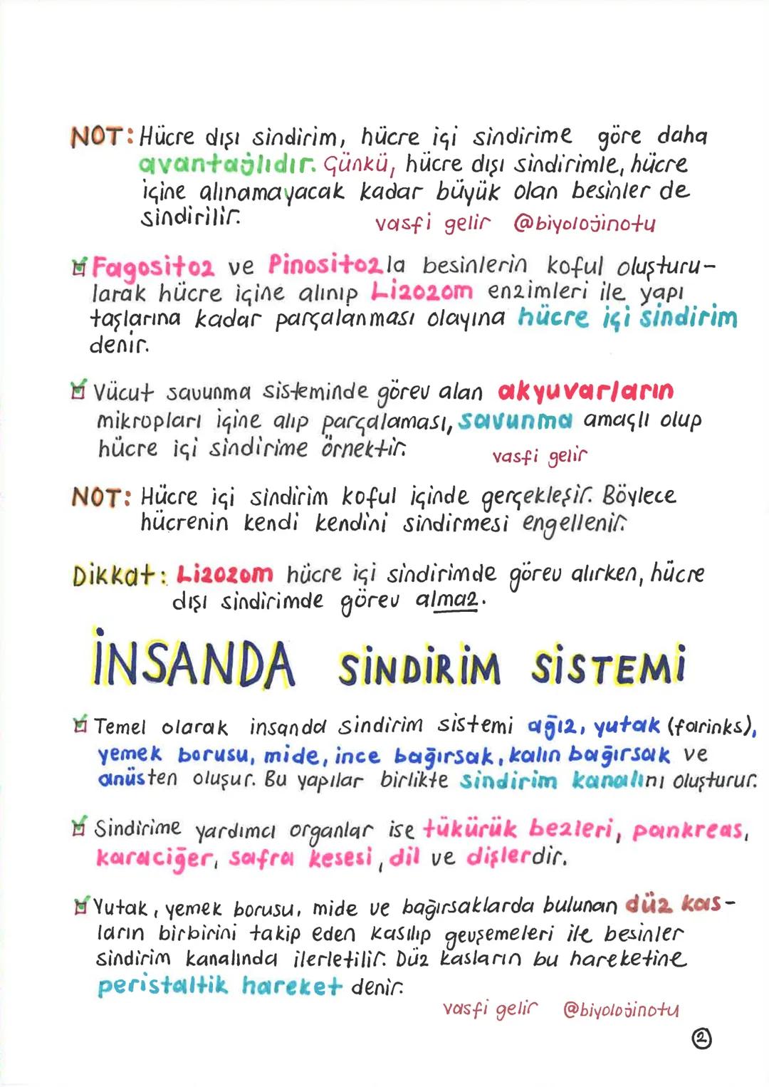SİNDİRİM SİSTEMİ
Alinan besinlerin hücre 2arından geçebilecek kadar
Küçük maddelere parçalanması olaying sindirim denir.
Sindirim olayı, mek
