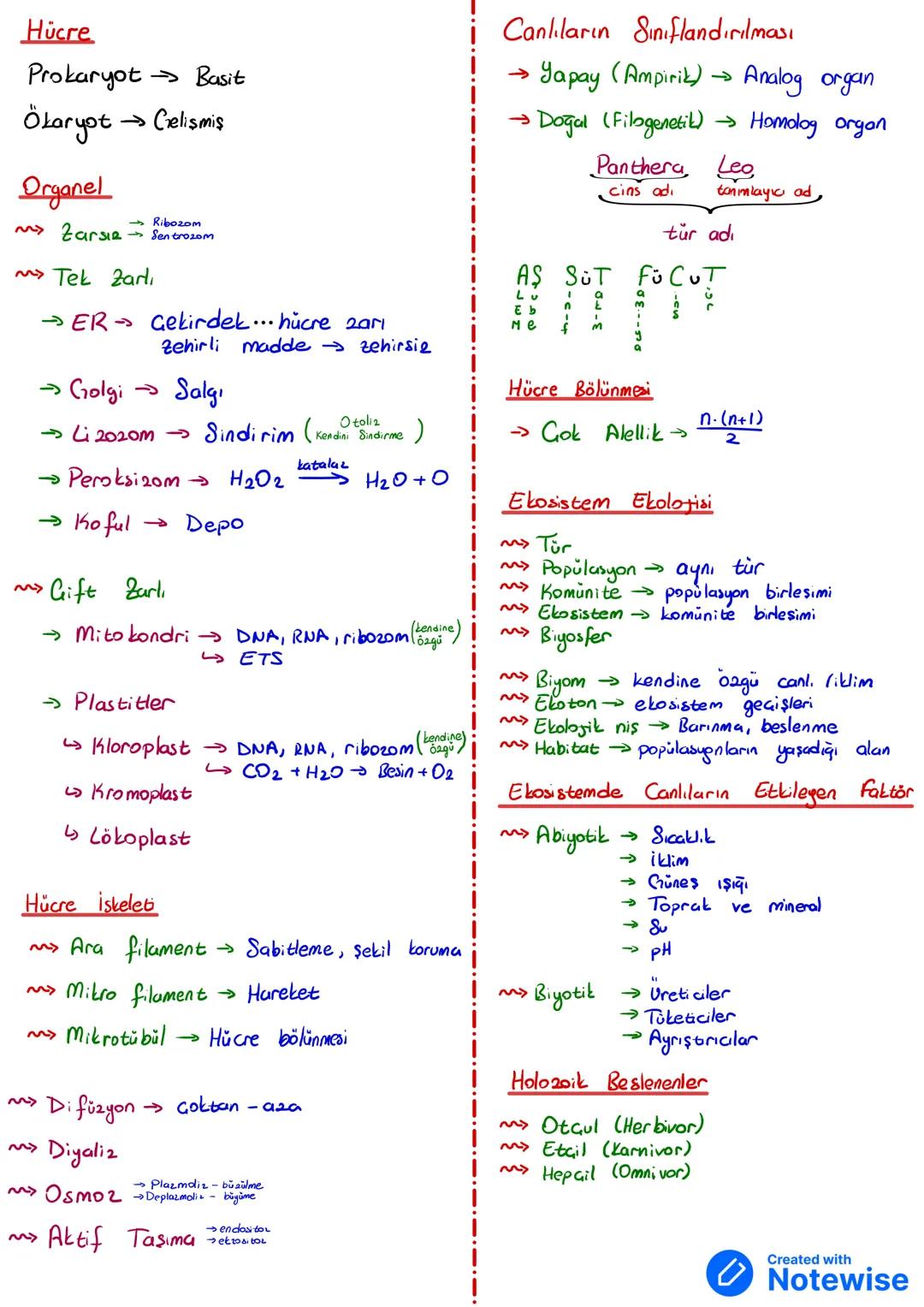 Atom-Molekül - Organel - Hücre - Doku - Organ - Sistem - Organizma
Inorganik
→ Su→ Biyokimyasal
→Asitler ve Bazlar H⁺-asit, OH-baz
→ Tuzlar