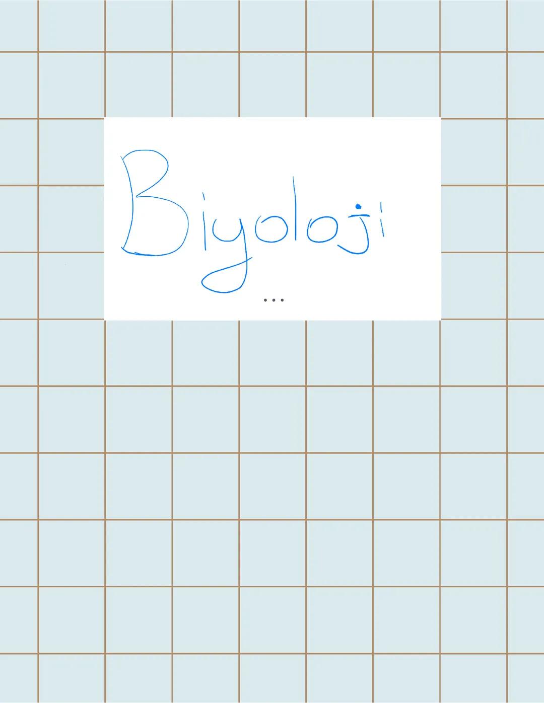 Genden Proteine bastan sona