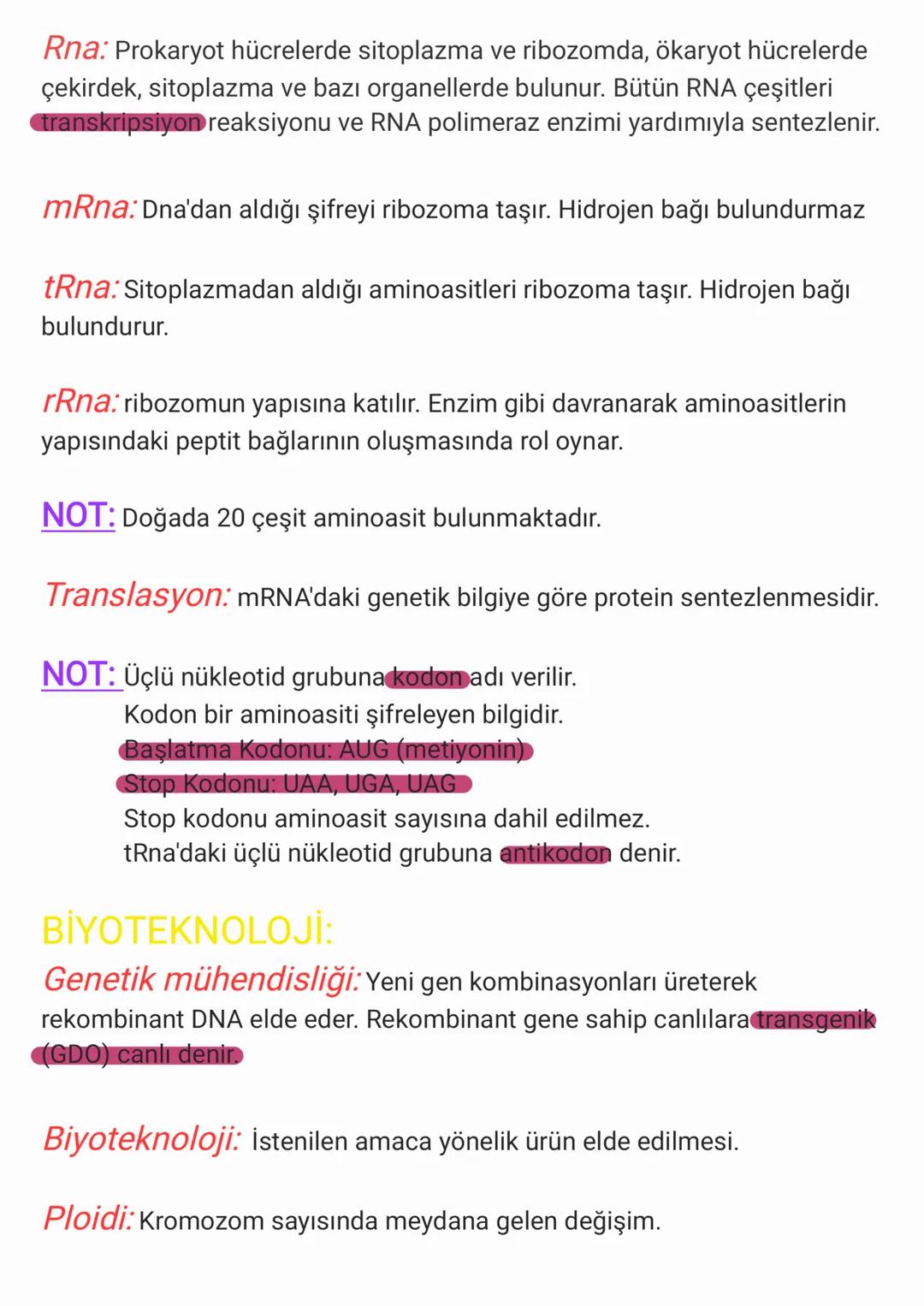 Biyoloji 12. Sınıf