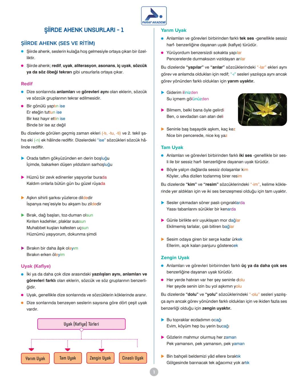 PARAF AKADEMİ
ŞİİRDE AHENK UNSURLARI -1
ŞİİRDE AHENK (SES VE RİTİM)
• Şiirde ahenk, seslerin kulağa hoş gelmesiyle ortaya çıkan bir özel-
li