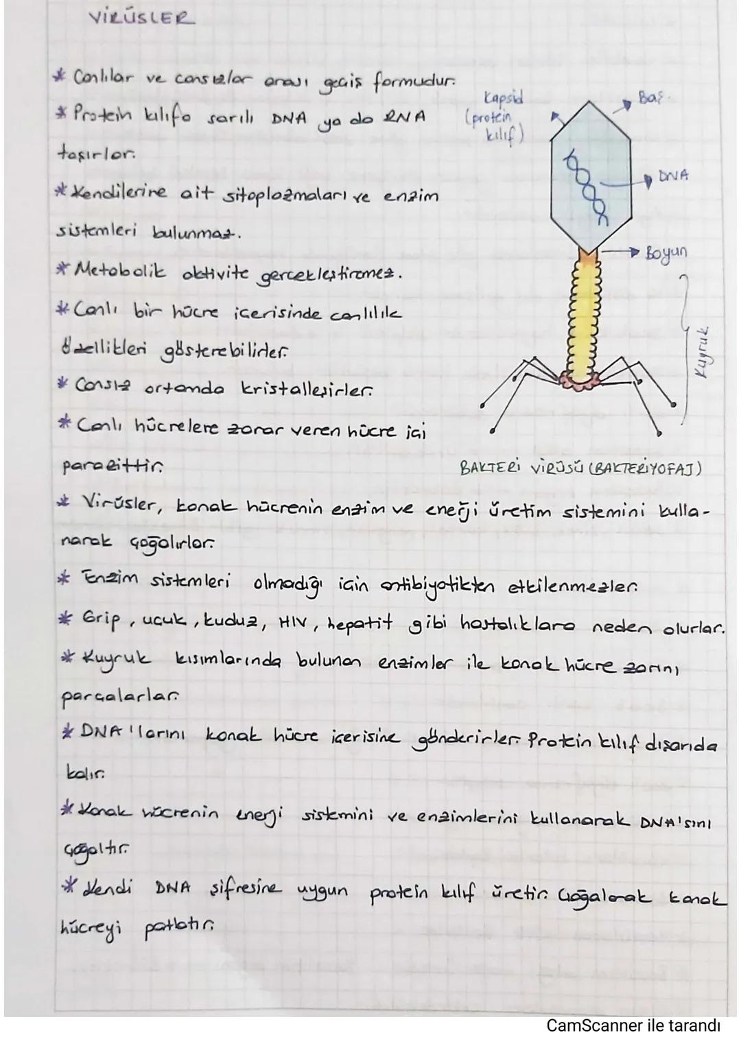 3. UNITE: CANLILAR DÜNYAS)
*CANLILARIN GESITLILIĞI ve SINIFLANDIRILMASI
Sınıflandırma: Canlıların benzerlik ve farklılıklarına, akrabalık de