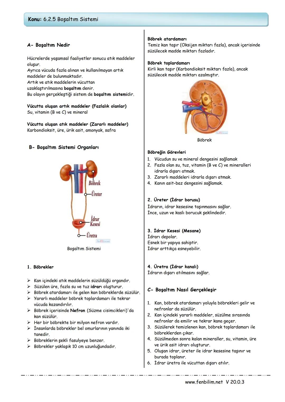 Konu: 6.2.5 Boşaltım Sistemi
A- Boşaltım Nedir
Hücrelerde yaşamsal faaliyetler sonucu atık maddeler
oluşur.
Ayrıca vücuda fazla alınan ve ku
