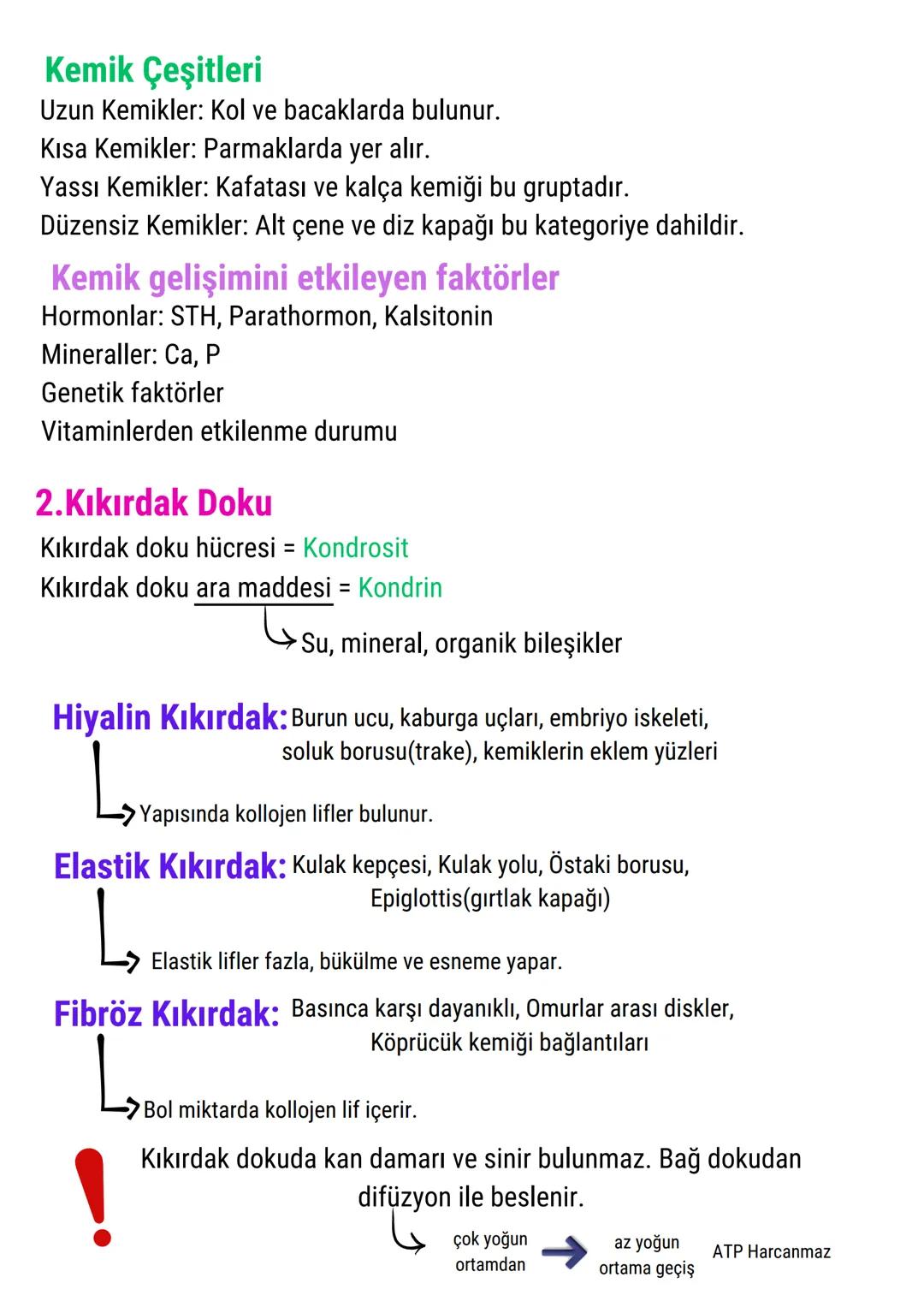 İNSANDA DESTEK VE HAREKET
SİSTEMİ
İSKELET SİSTEMİ GÖREVLERİ
Vücuda form kazandırır.
Kaslar ve eklemlerle birlikte hareketi destekler.
İç org