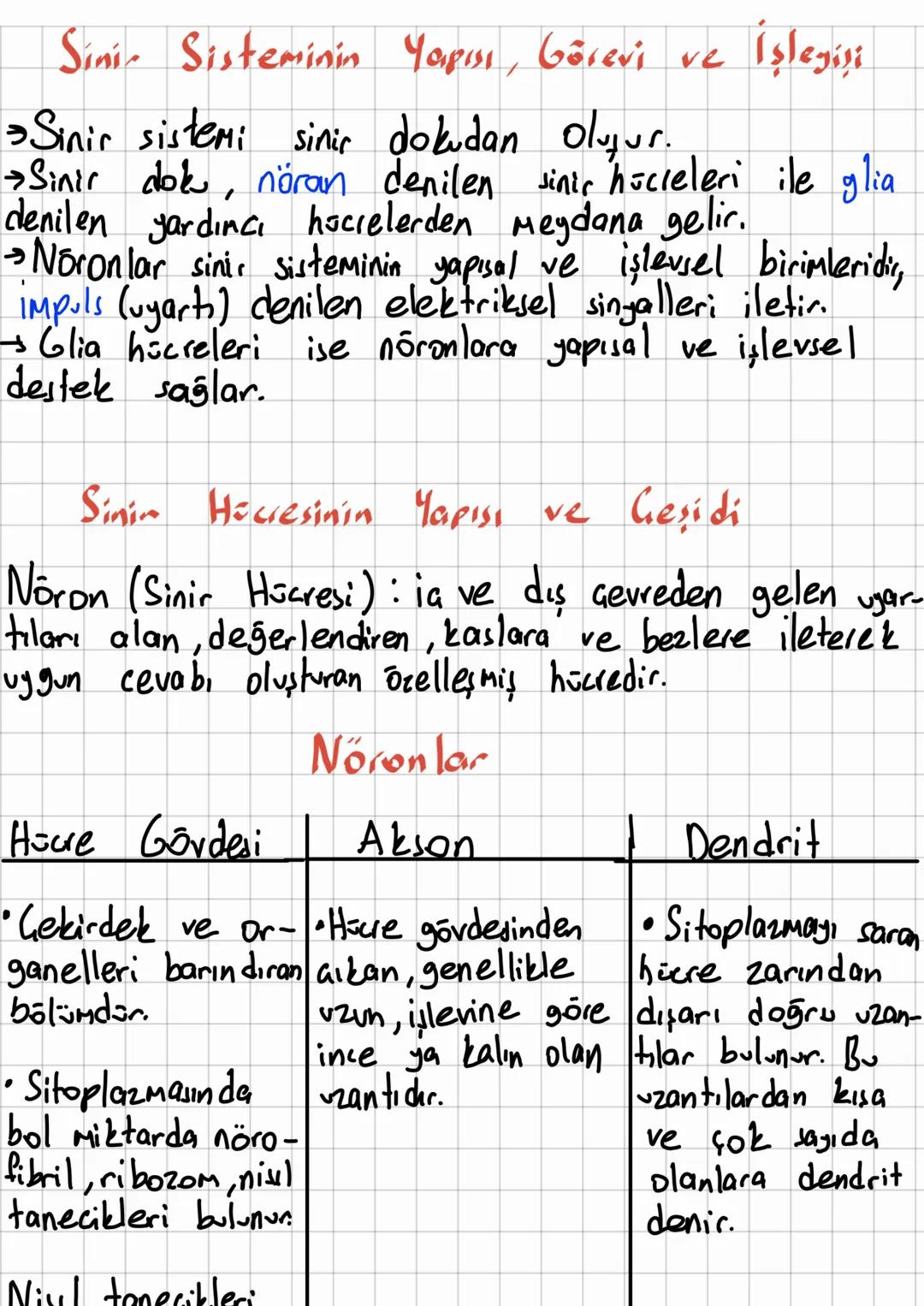 # Sini Sisteminin Yapısı, Görevi
ve İşleyişi
→Sinir sistemi sinir dokudan oluşur.
→Sinir dok, nöran denilen sinir hücreleri ile glia
denile