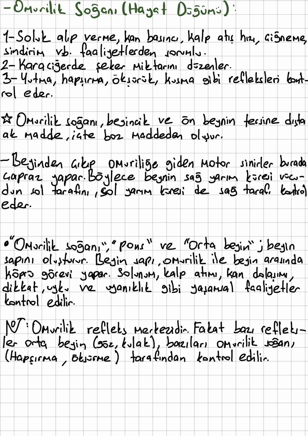 # Sini Sisteminin Yapısı, Görevi
ve İşleyişi
→Sinir sistemi sinir dokudan oluşur.
→Sinir dok, nöran denilen sinir hücreleri ile glia
denile