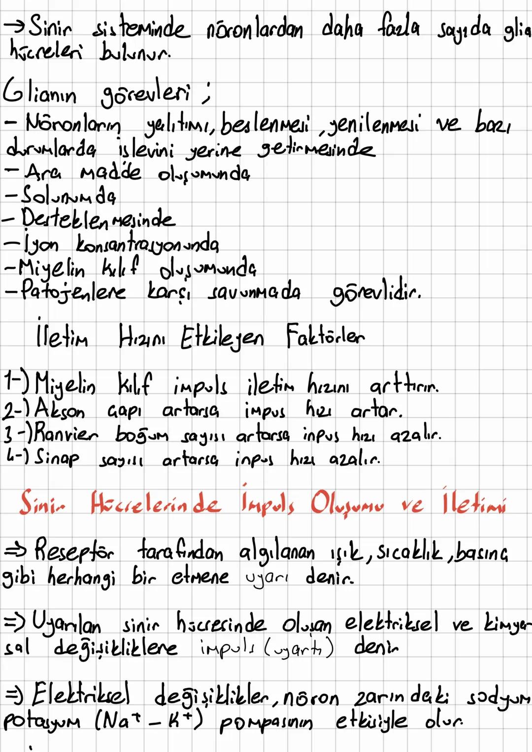 # Sini Sisteminin Yapısı, Görevi
ve İşleyişi
→Sinir sistemi sinir dokudan oluşur.
→Sinir dok, nöran denilen sinir hücreleri ile glia
denile