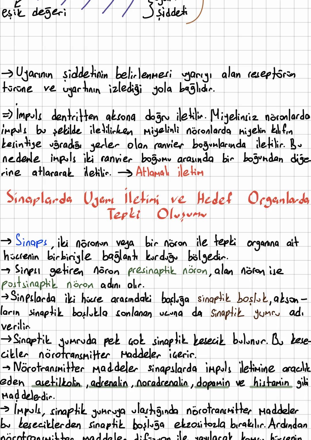 # Sini Sisteminin Yapısı, Görevi
ve İşleyişi
→Sinir sistemi sinir dokudan oluşur.
→Sinir dok, nöran denilen sinir hücreleri ile glia
denile