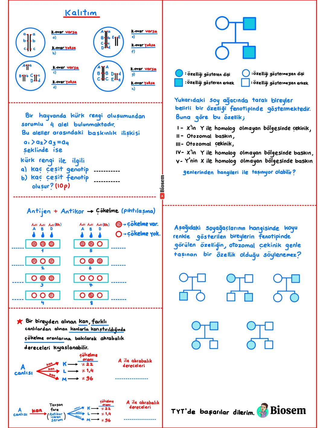 # Hücresel Yapıya Sahip Olma
- Tüm canlılar hücrelerden oluşur.
Hücreler yapısına göre
Çekirdek
Prokaryot
Bakteriler
Arkeler
Beslenme
-
