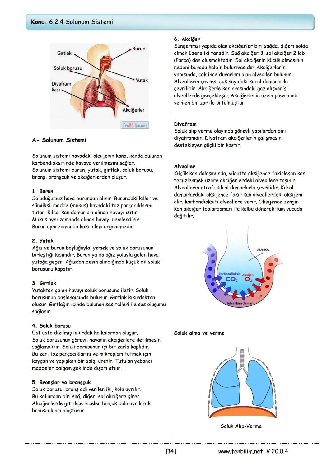 # 6.Sınıf Fen Bilimleri
Ders Notları
Barış ZEREN
Fen Bilimleri Öğretmeni 1.Ünite: Güneş Sistemi ve Tutulmalar
Konu: 6.1.1 Güneş Sistemi
Gün