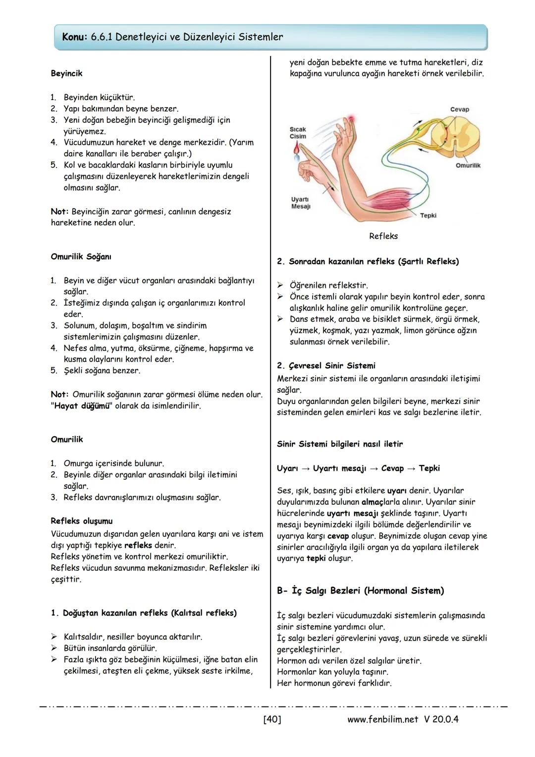 # 6.Sınıf Fen Bilimleri
Ders Notları
Barış ZEREN
Fen Bilimleri Öğretmeni 1.Ünite: Güneş Sistemi ve Tutulmalar
Konu: 6.1.1 Güneş Sistemi
Gün