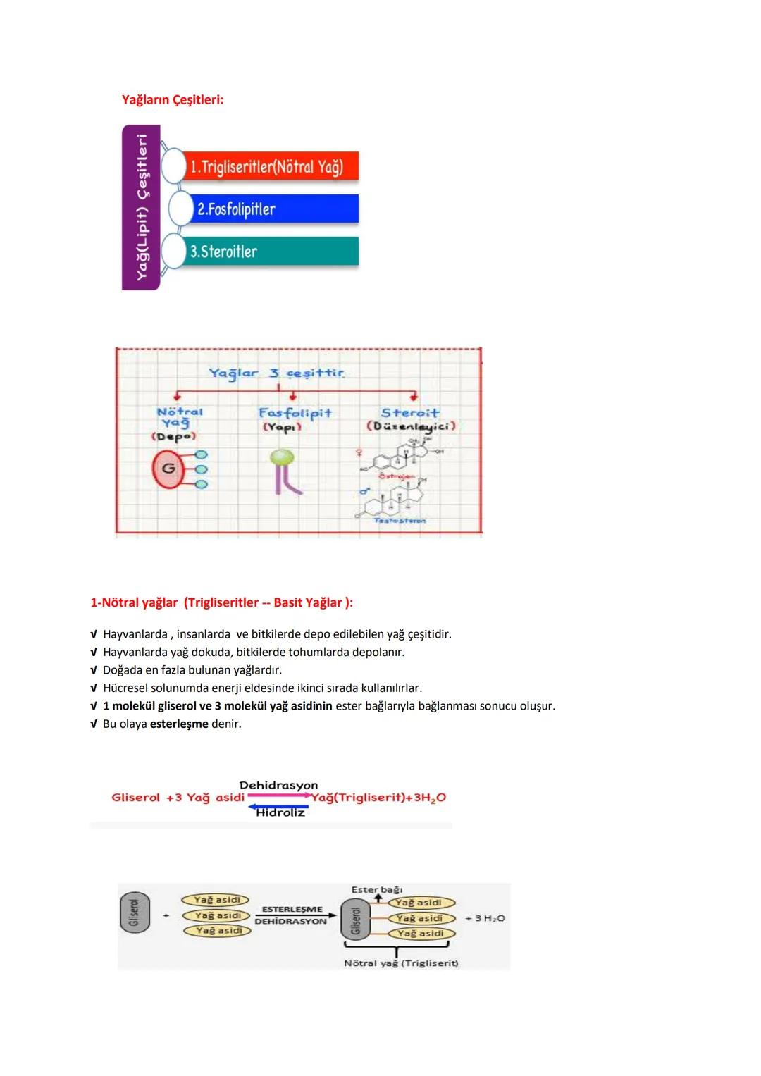 # BİYOLOJİ
# KONU ANLATIMLI
# DERS FÖYÜ
İÇİNDEKİLER (DERS KONULARI)
✓ CANLILARIN TEMEL BİLEŞENLERİ
→ Organik Moleküller:
1- Karbonhidratla