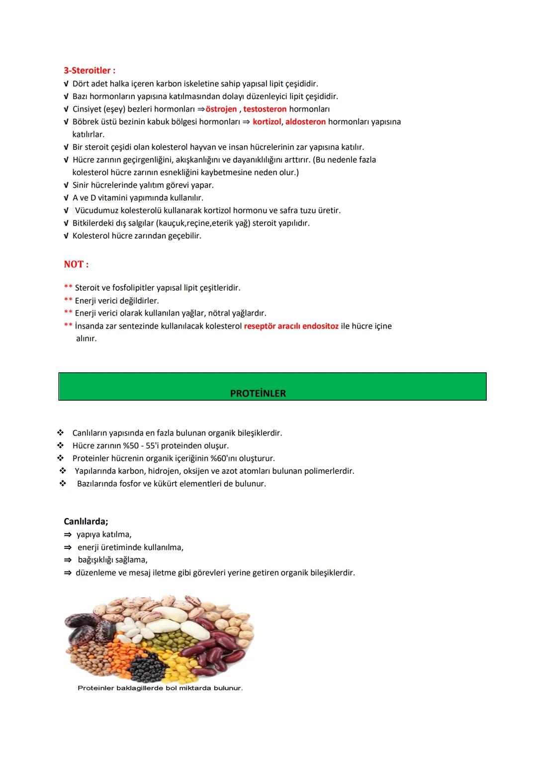 # BİYOLOJİ
# KONU ANLATIMLI
# DERS FÖYÜ
İÇİNDEKİLER (DERS KONULARI)
✓ CANLILARIN TEMEL BİLEŞENLERİ
→ Organik Moleküller:
1- Karbonhidratla