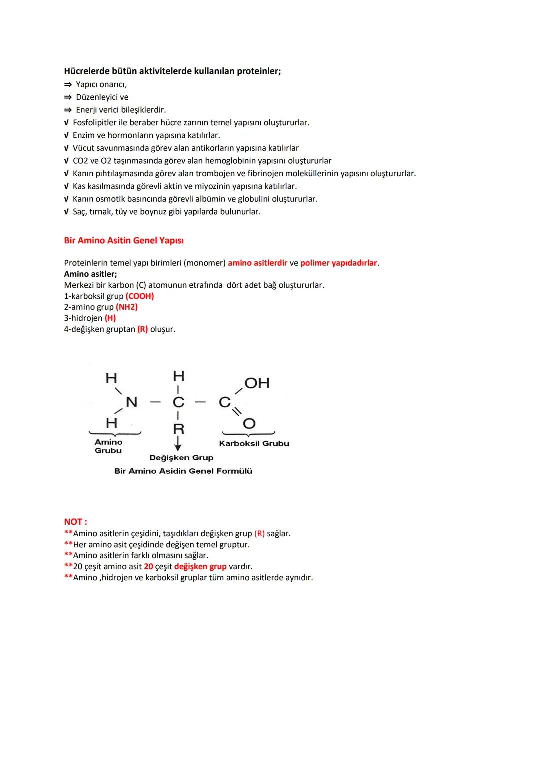 # BİYOLOJİ
# KONU ANLATIMLI
# DERS FÖYÜ
İÇİNDEKİLER (DERS KONULARI)
✓ CANLILARIN TEMEL BİLEŞENLERİ
→ Organik Moleküller:
1- Karbonhidratla