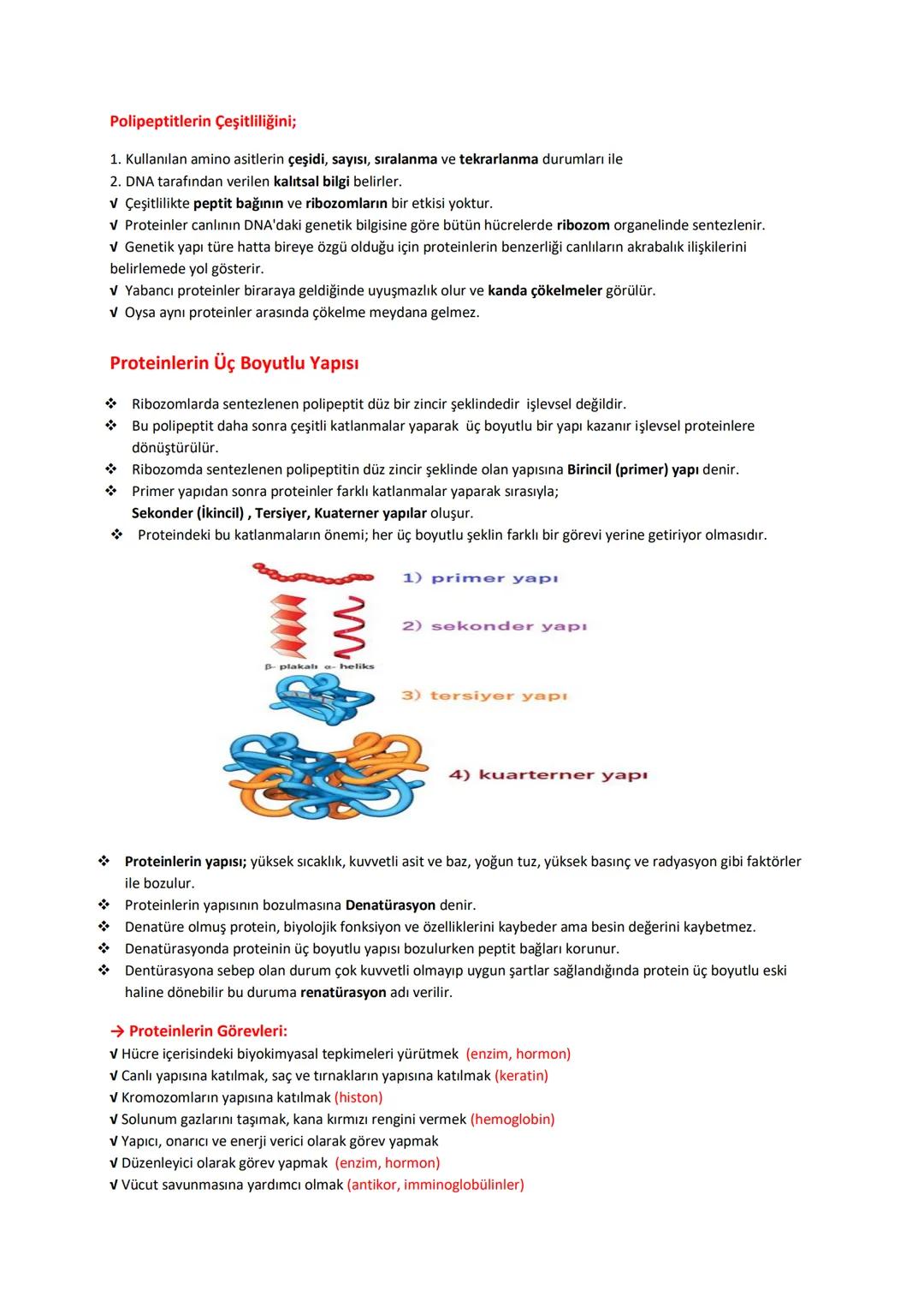 # BİYOLOJİ
# KONU ANLATIMLI
# DERS FÖYÜ
İÇİNDEKİLER (DERS KONULARI)
✓ CANLILARIN TEMEL BİLEŞENLERİ
→ Organik Moleküller:
1- Karbonhidratla