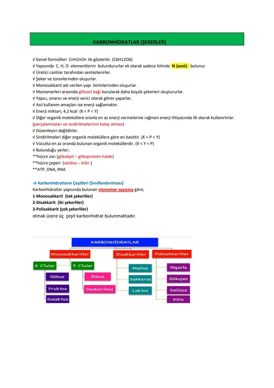 # BİYOLOJİ
# KONU ANLATIMLI
# DERS FÖYÜ
İÇİNDEKİLER (DERS KONULARI)
✓ CANLILARIN TEMEL BİLEŞENLERİ
→ Organik Moleküller:
1- Karbonhidratla