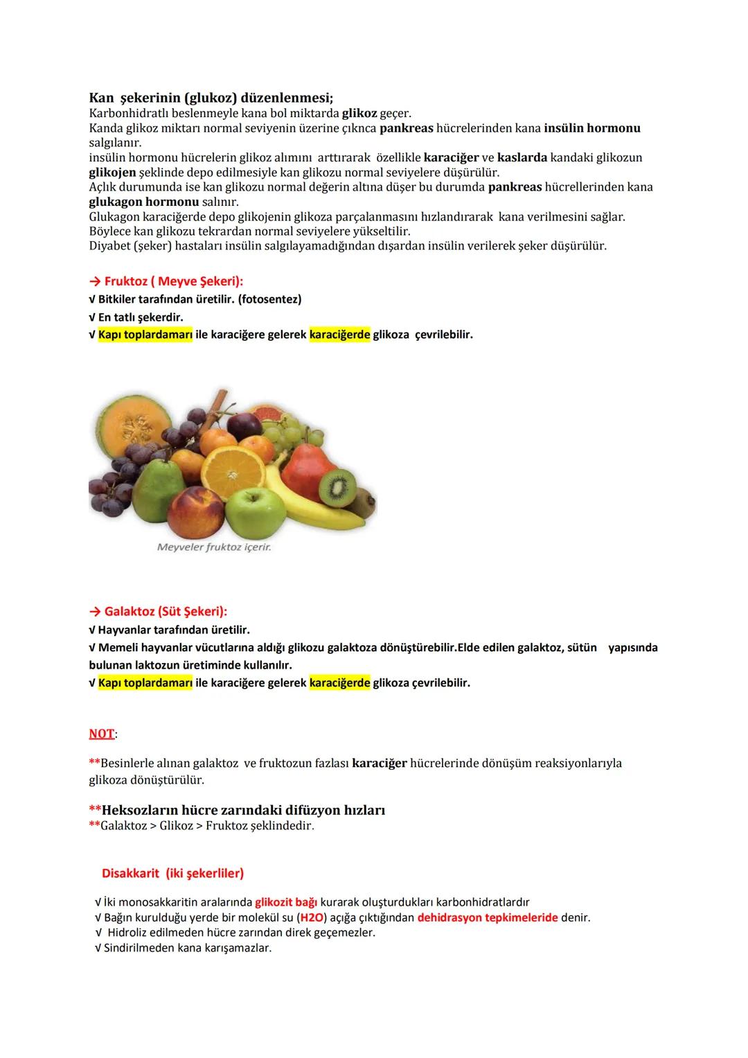 # BİYOLOJİ
# KONU ANLATIMLI
# DERS FÖYÜ
İÇİNDEKİLER (DERS KONULARI)
✓ CANLILARIN TEMEL BİLEŞENLERİ
→ Organik Moleküller:
1- Karbonhidratla