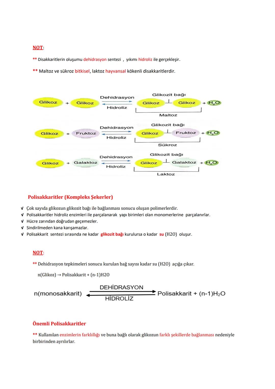 # BİYOLOJİ
# KONU ANLATIMLI
# DERS FÖYÜ
İÇİNDEKİLER (DERS KONULARI)
✓ CANLILARIN TEMEL BİLEŞENLERİ
→ Organik Moleküller:
1- Karbonhidratla