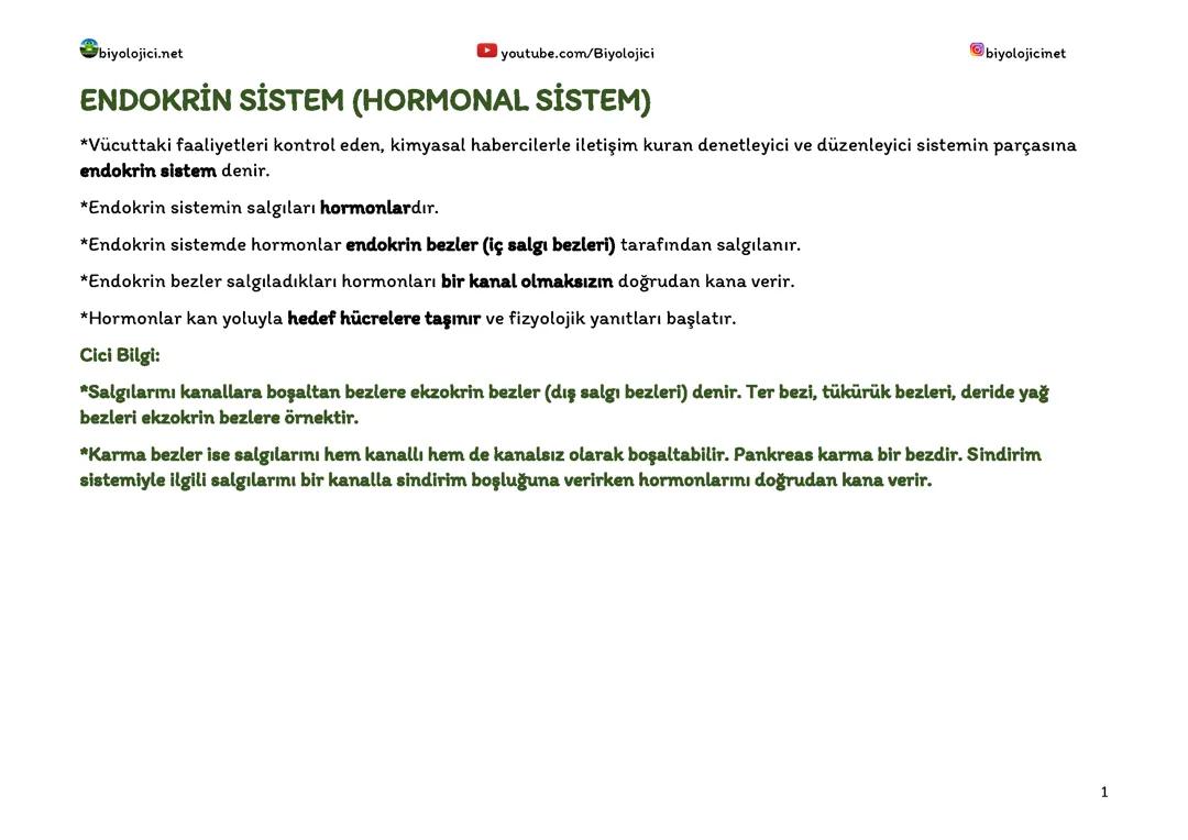 11. Sınıf Biyoloji Endokrin Sistem not