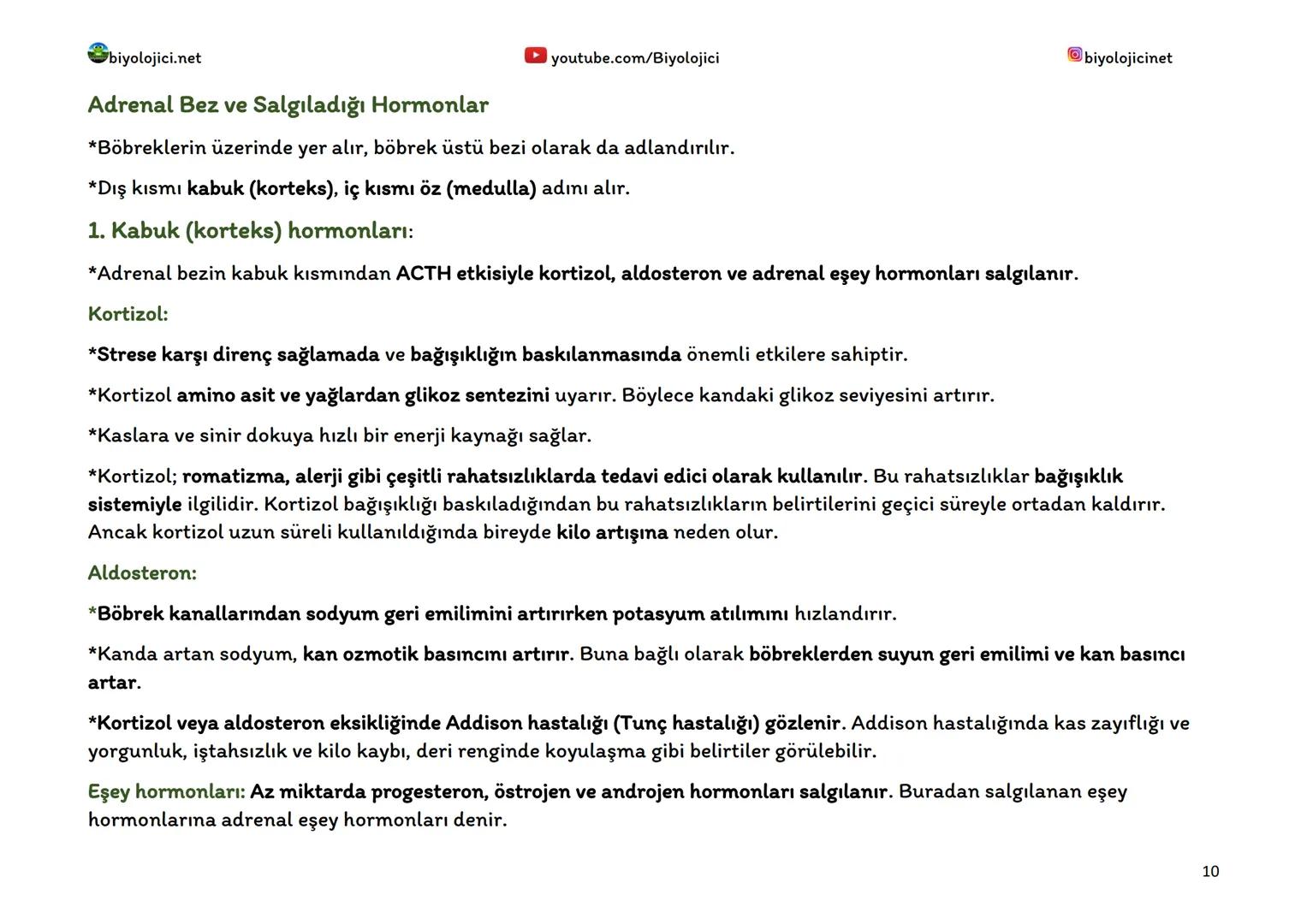 --- OCR Start ---
biyolojici.net
youtube.com/Biyolojici
biyolojicinet
ENDOKRİN SİSTEM (HORMONAL SİSTEM)
*Vücuttaki faaliyetleri kontrol eden