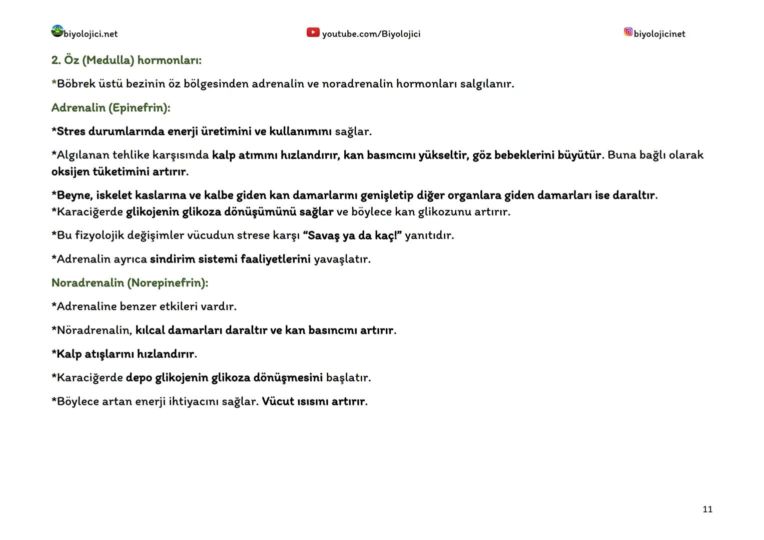 --- OCR Start ---
biyolojici.net
youtube.com/Biyolojici
biyolojicinet
ENDOKRİN SİSTEM (HORMONAL SİSTEM)
*Vücuttaki faaliyetleri kontrol eden