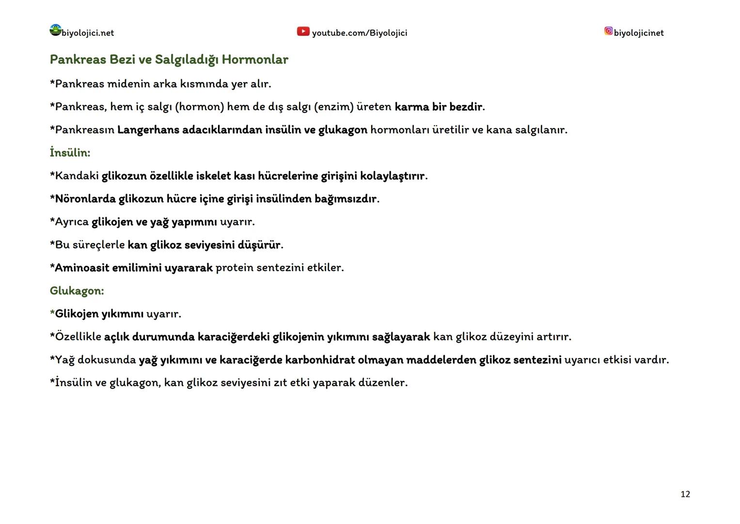 --- OCR Start ---
biyolojici.net
youtube.com/Biyolojici
biyolojicinet
ENDOKRİN SİSTEM (HORMONAL SİSTEM)
*Vücuttaki faaliyetleri kontrol eden