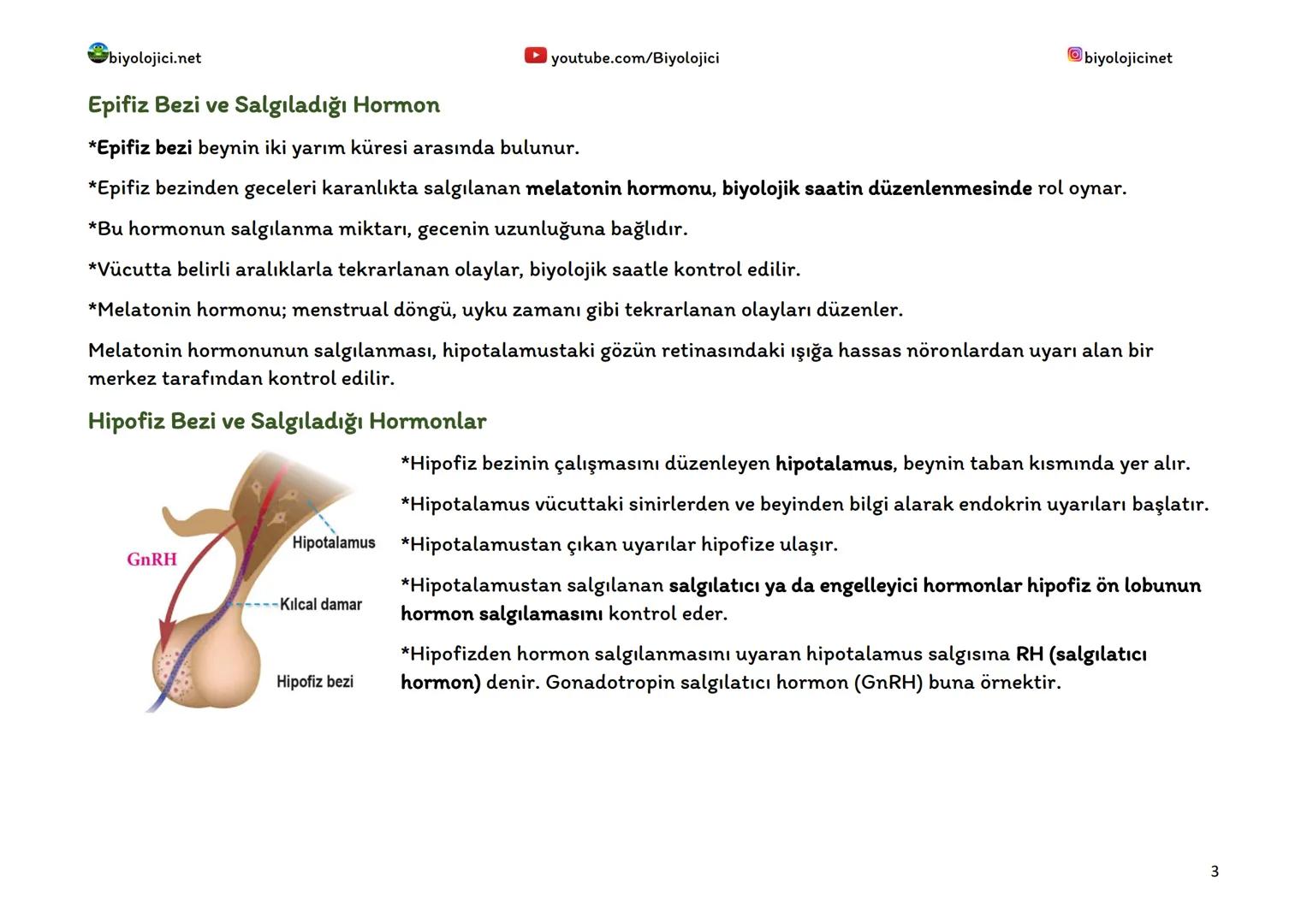 --- OCR Start ---
biyolojici.net
youtube.com/Biyolojici
biyolojicinet
ENDOKRİN SİSTEM (HORMONAL SİSTEM)
*Vücuttaki faaliyetleri kontrol eden