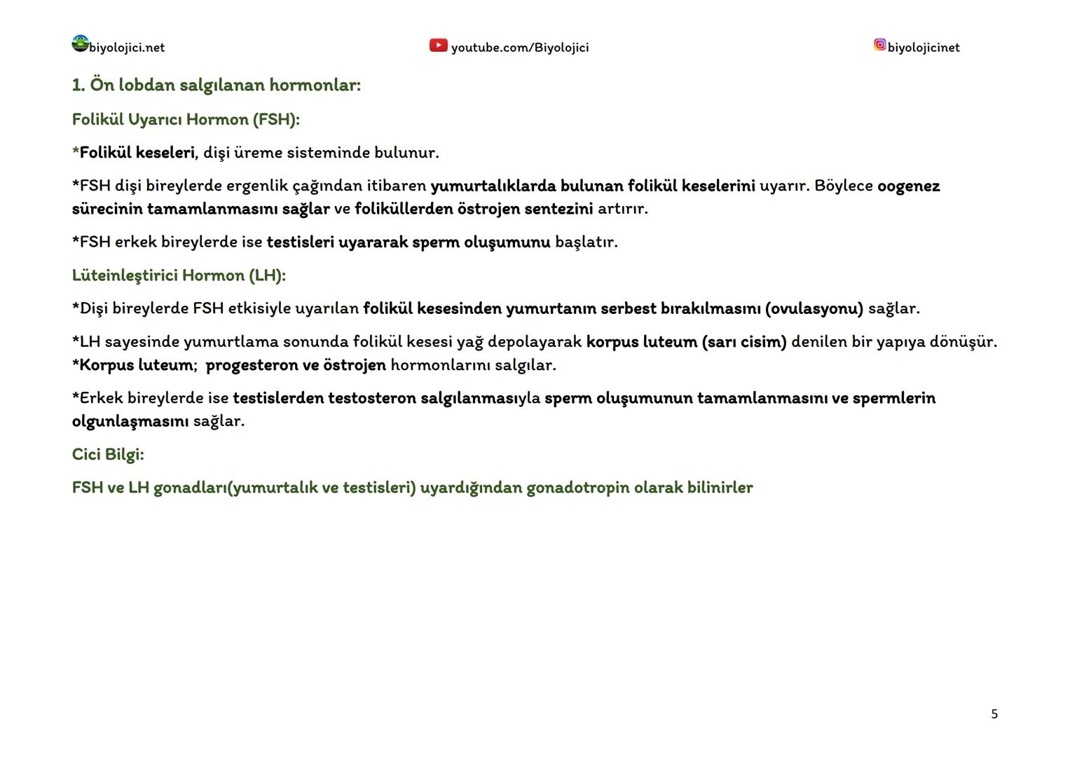 --- OCR Start ---
biyolojici.net
youtube.com/Biyolojici
biyolojicinet
ENDOKRİN SİSTEM (HORMONAL SİSTEM)
*Vücuttaki faaliyetleri kontrol eden