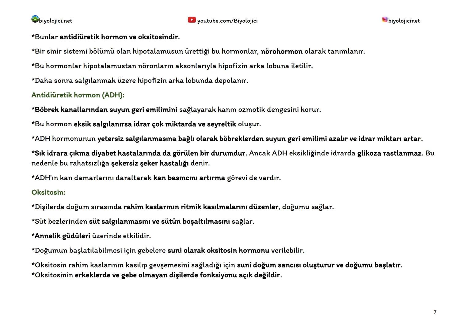 --- OCR Start ---
biyolojici.net
youtube.com/Biyolojici
biyolojicinet
ENDOKRİN SİSTEM (HORMONAL SİSTEM)
*Vücuttaki faaliyetleri kontrol eden