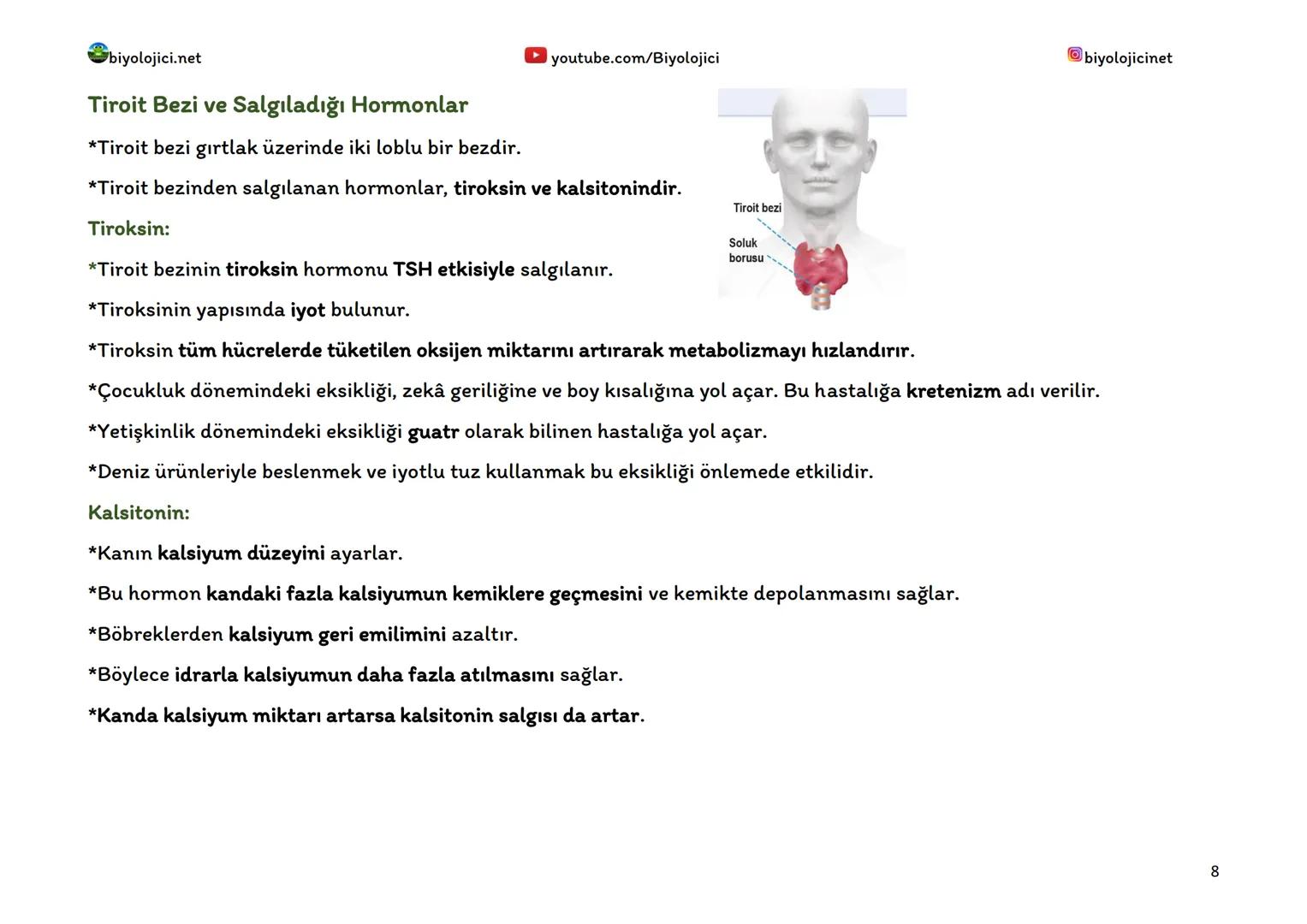 --- OCR Start ---
biyolojici.net
youtube.com/Biyolojici
biyolojicinet
ENDOKRİN SİSTEM (HORMONAL SİSTEM)
*Vücuttaki faaliyetleri kontrol eden