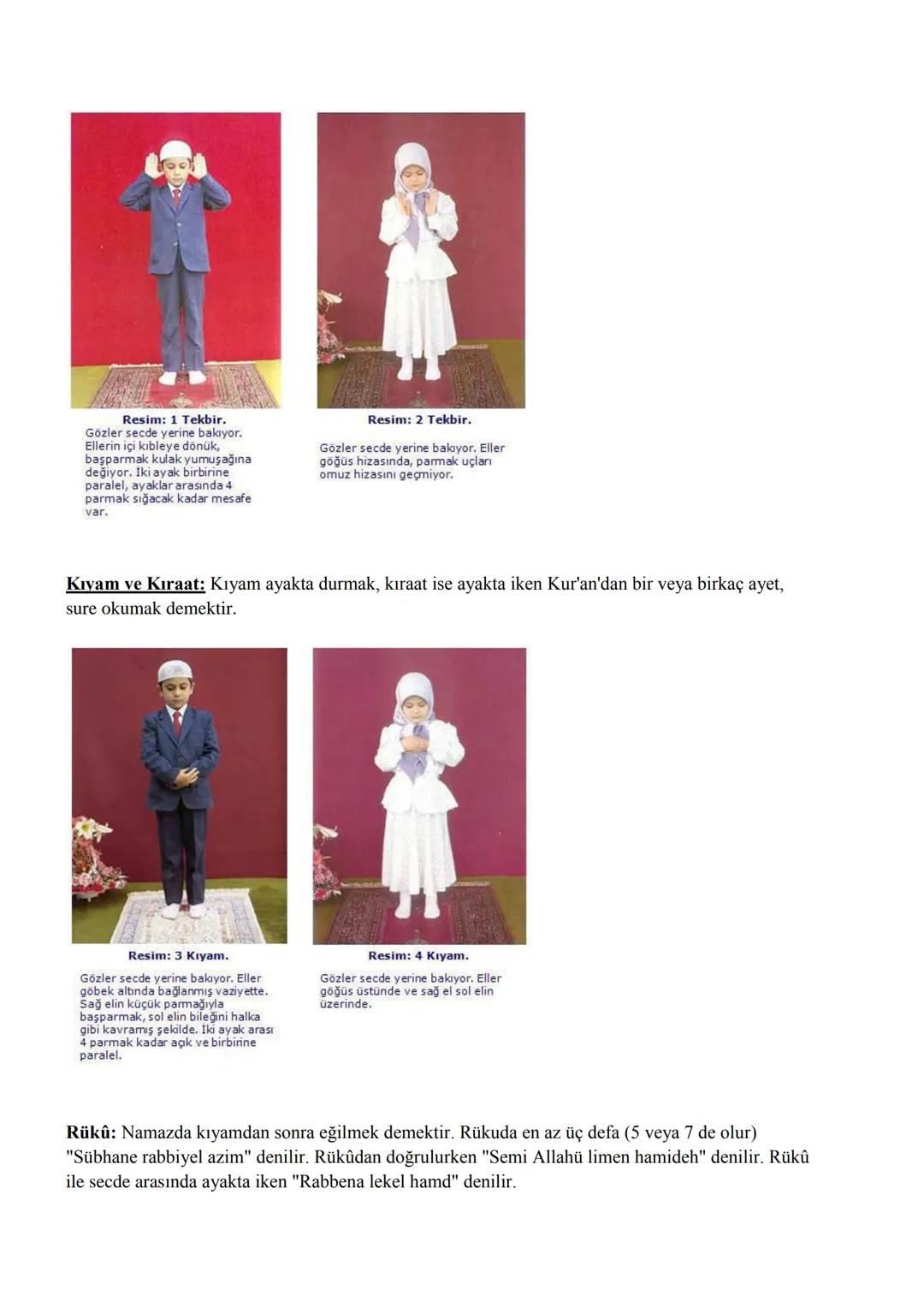 6. SINIF DİN KÜLTÜRÜ VE AHLAK BİLGİSİ
KONU ANLATIMLARI
1. ÜNİTE : PEYGAMBER VE İLAHİN KİTAP İNANCI
Allah'ın Elçileri: Peygamberler
Peygamber