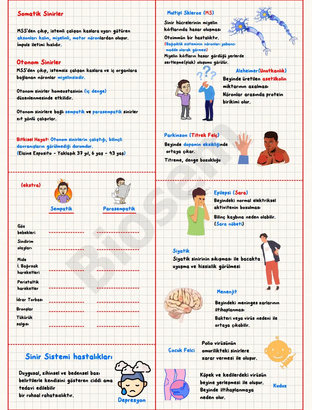Nörona verilen uyarı, eşik değer veya eşik değerin
üzerinde ise nöronda impuls oluşur. Eşik değer
altındaki uyarılar impuls oluşturmaz. Bu d