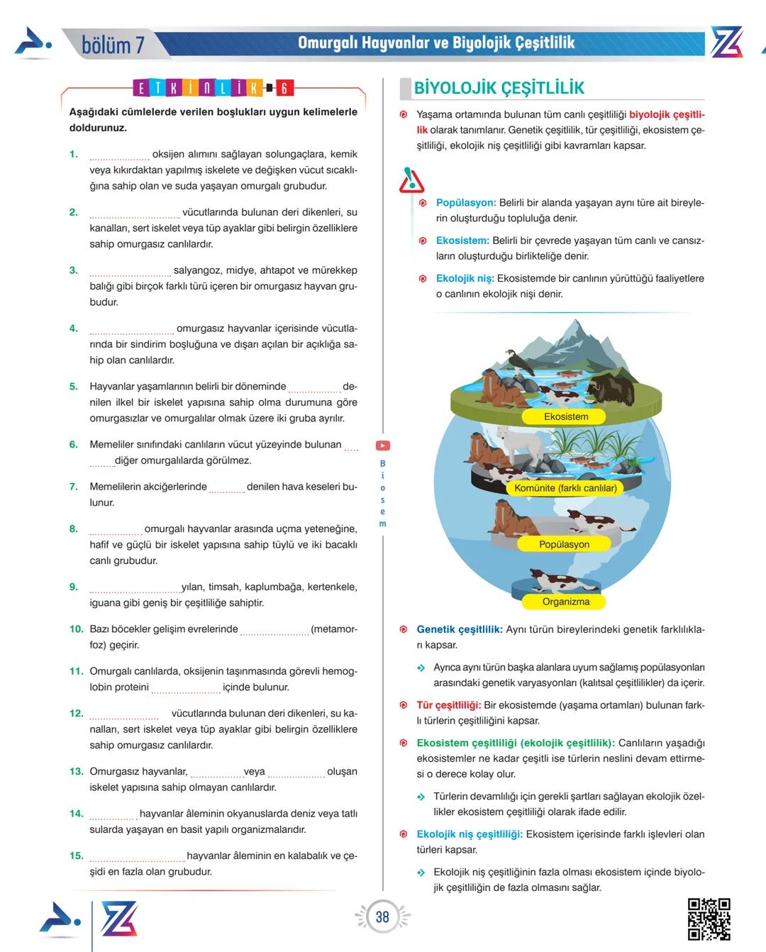 bölüm 7
ETKİNLİK 6
Omurgalı Hayvanlar ve Biyolojik Çeşitlilik
Aşağıdaki cümlelerde verilen boşlukları uygun kelimelerle
doldurunuz.
1.