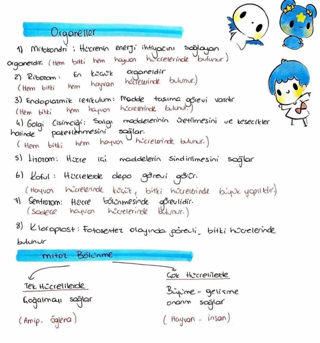--- OCR Start ---
7. SINIF
NEM TEKRARI""
1. Ünite: Uzay Araştırmaları
Bazı önemli uzay araçları
✓
Uzay
loketi
↓
insan
↓
I
uray.
mekipi
Uray