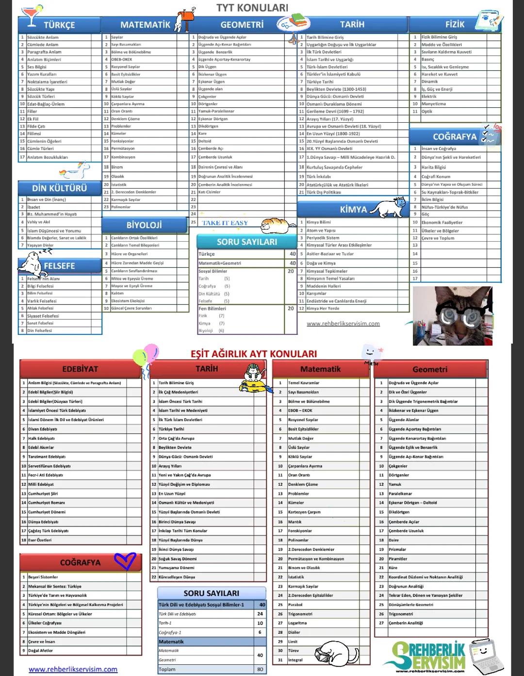 Tyt ayt konuları (eşit ağırlık)