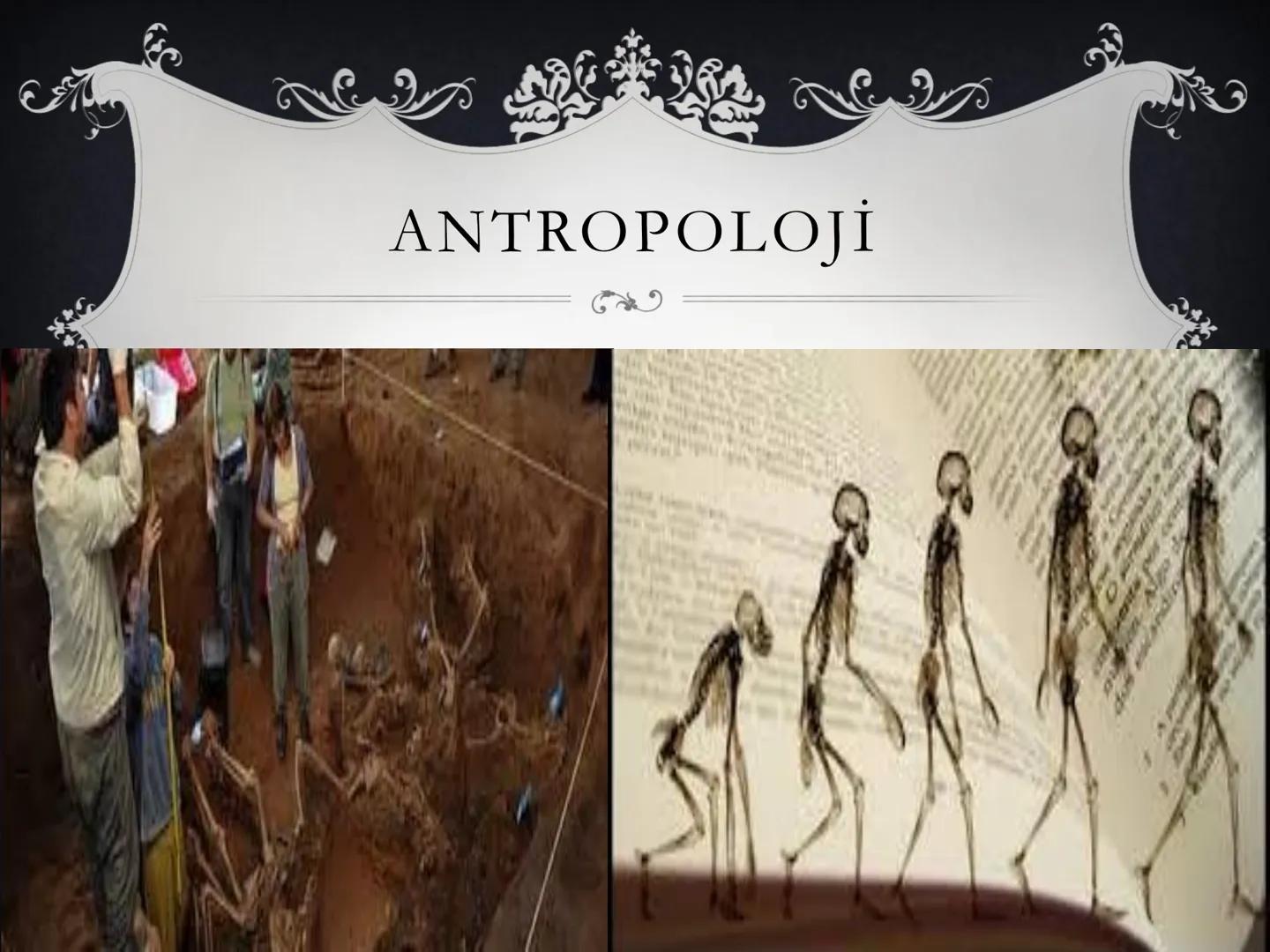 # Tarih
Look More # EKOLOJİ
❖Ekoloji, canlıların birbirleri ve çevreleri ile olan ilişkilerini inceleten
ve doğanın korunmasına yönelik ça